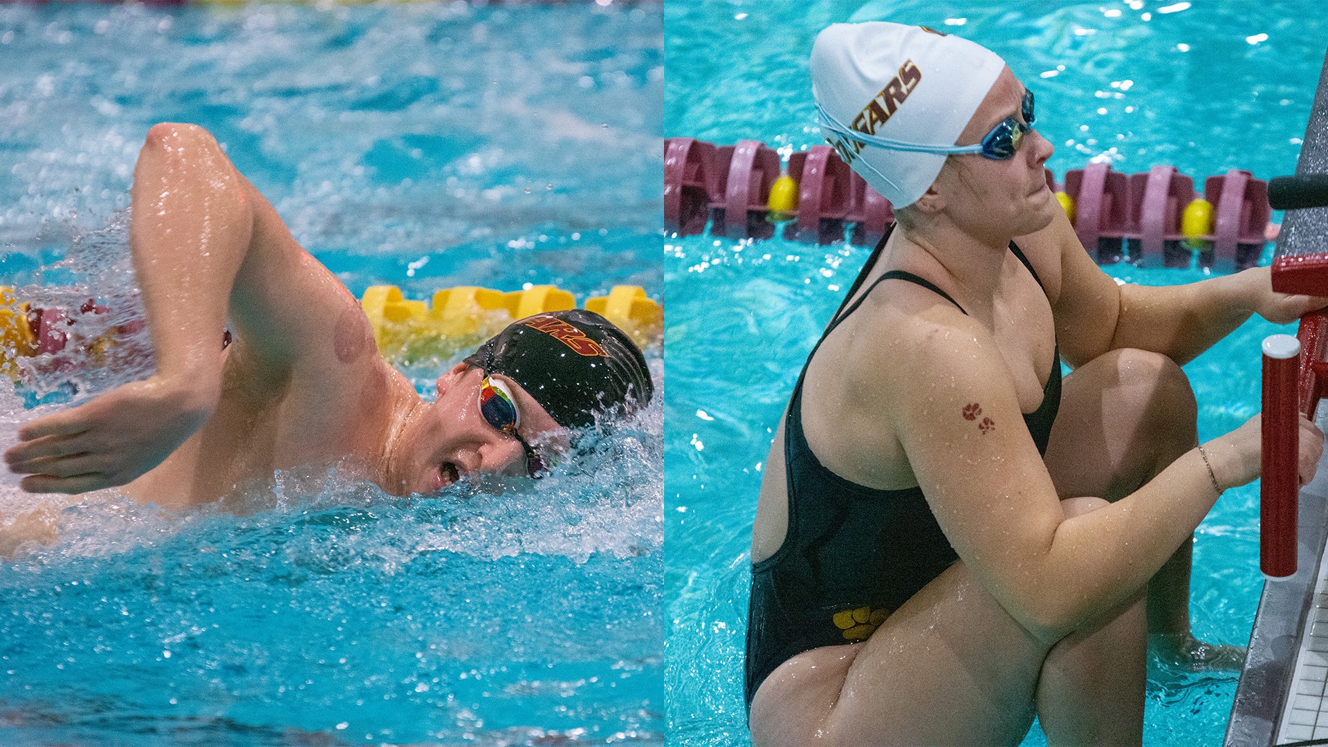 12.3 Swim and Dive Preview Photo