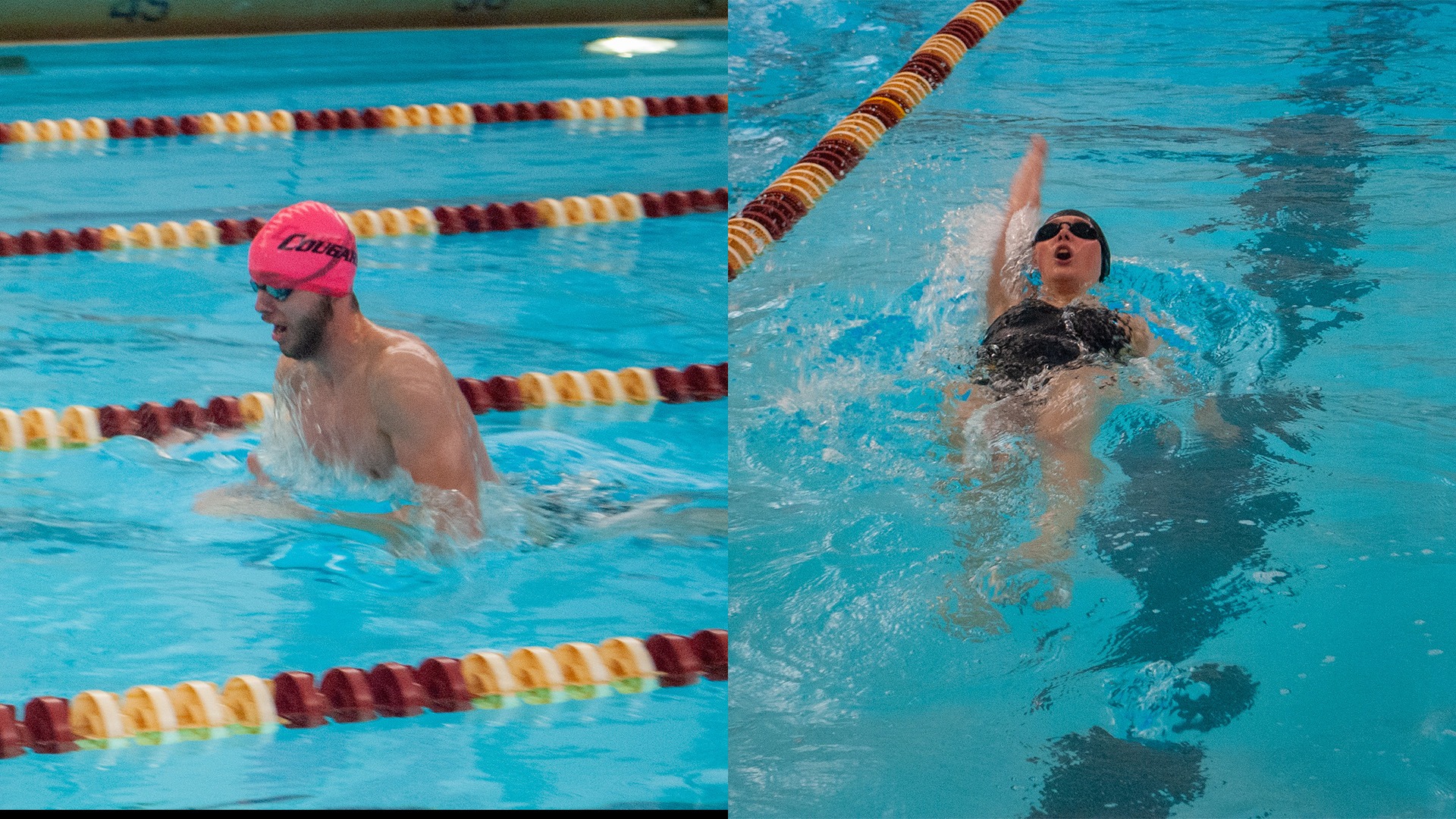 1.9 Swim and Dive Preview Photo