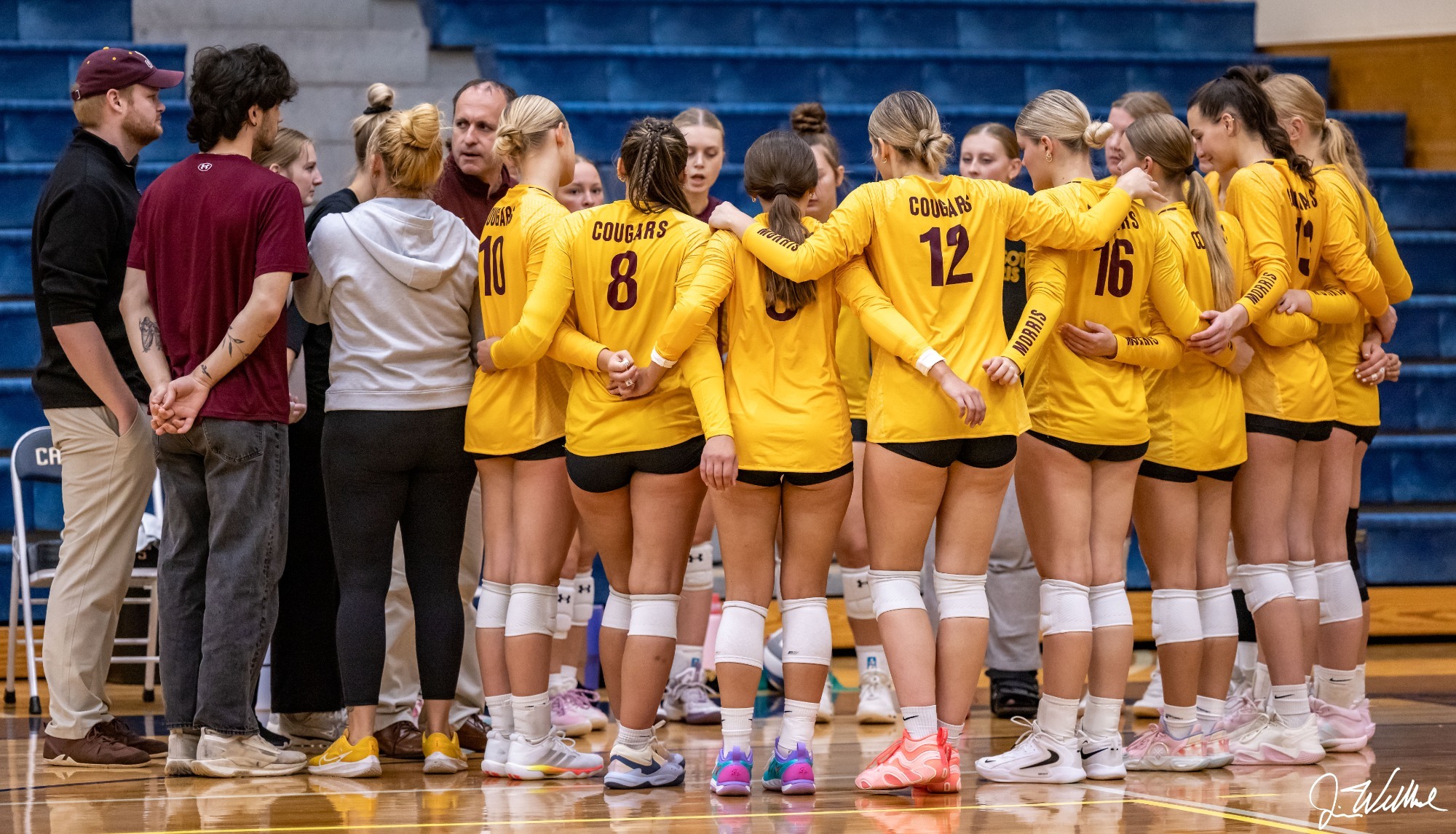 Team - Action Shot - Volleyball at NWU