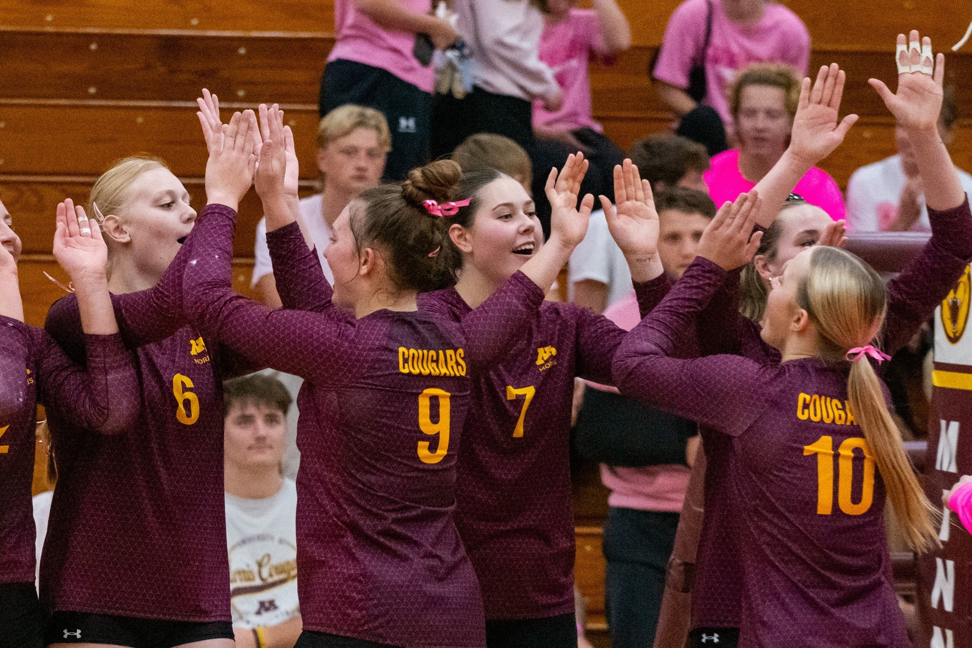 Volleyball Celebration - Action shot - Volleyball vs Crown