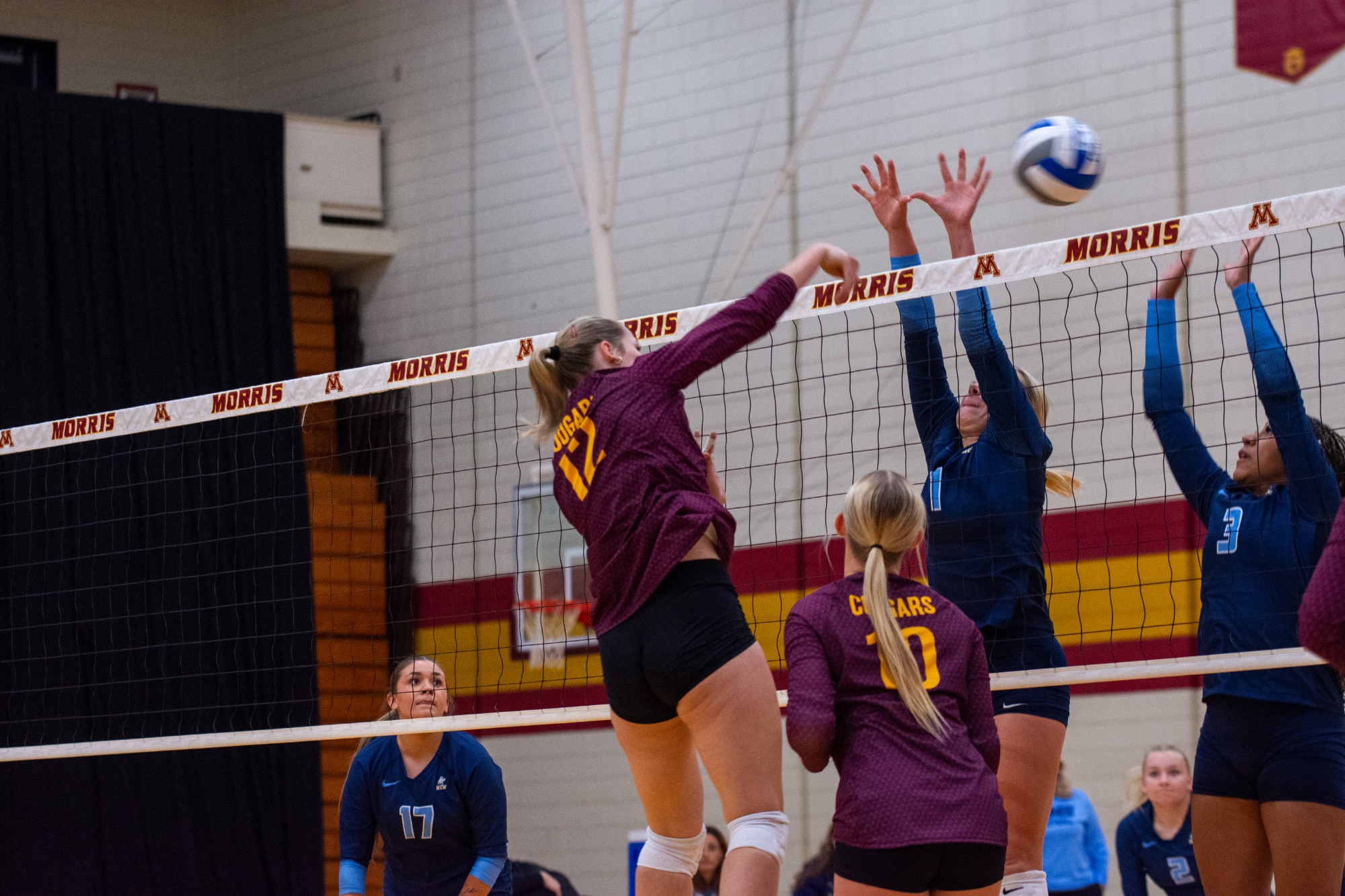 Meyer - Action Shot - Volleyball vs Crown