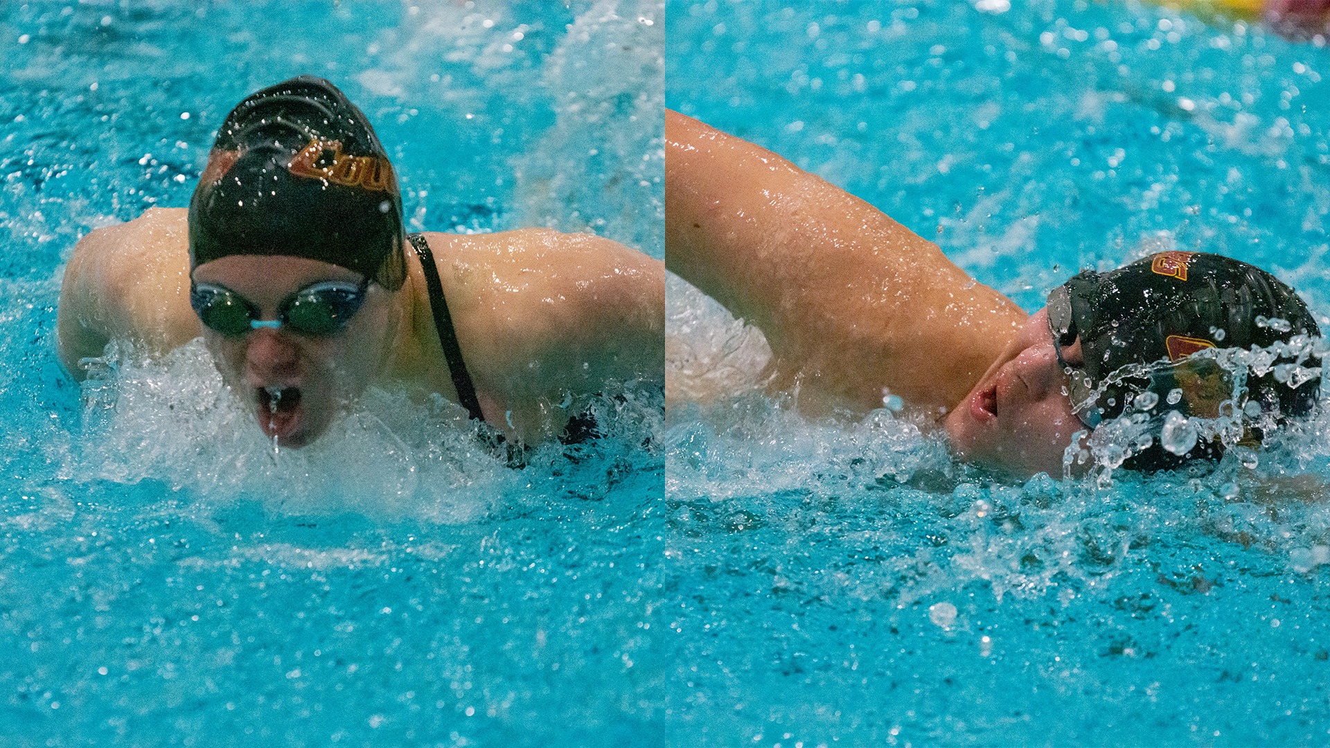 Swim and Dive Preview Image 2.10.2026