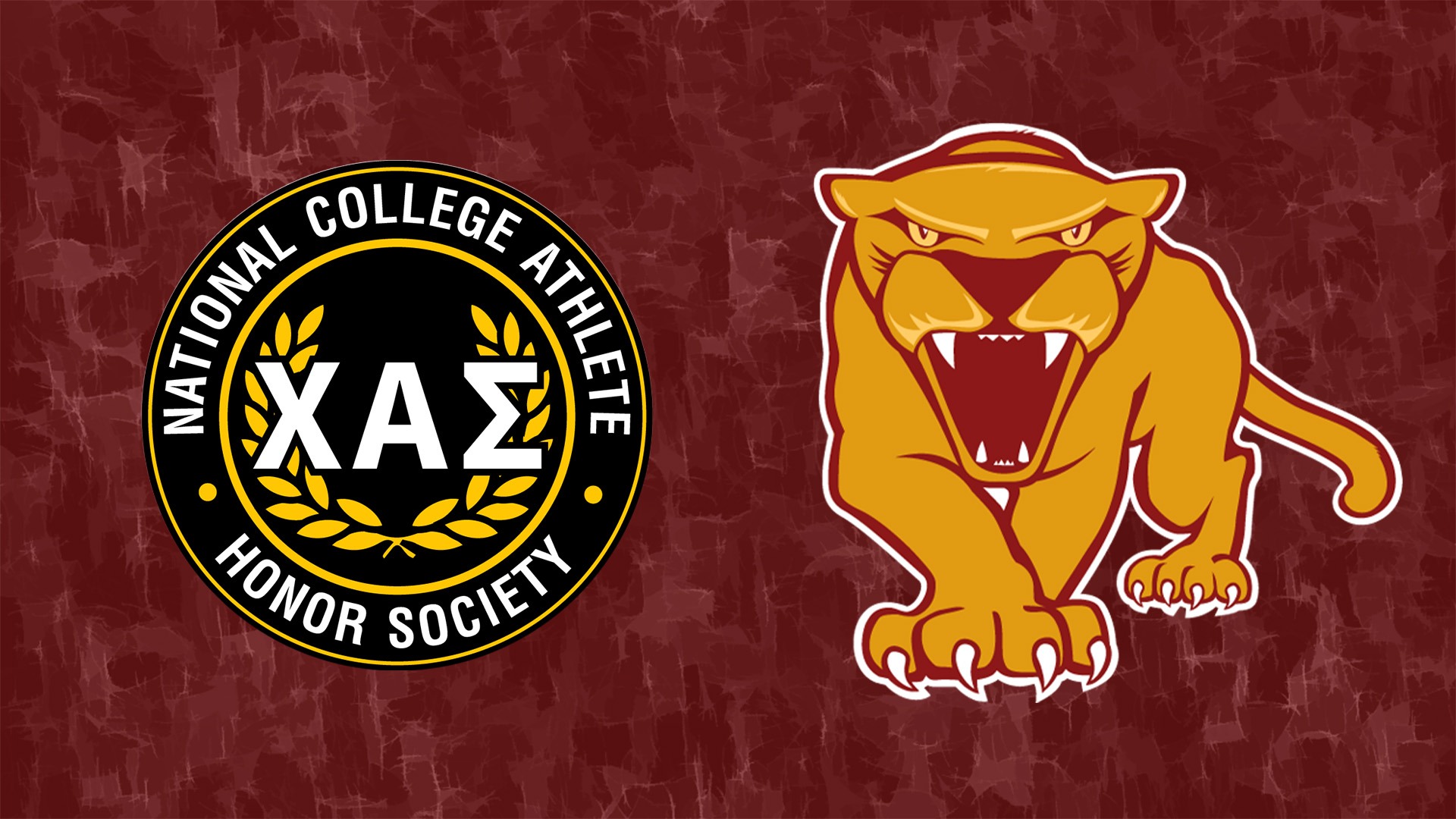 National College Athlete Honor Society Minnesota Morris