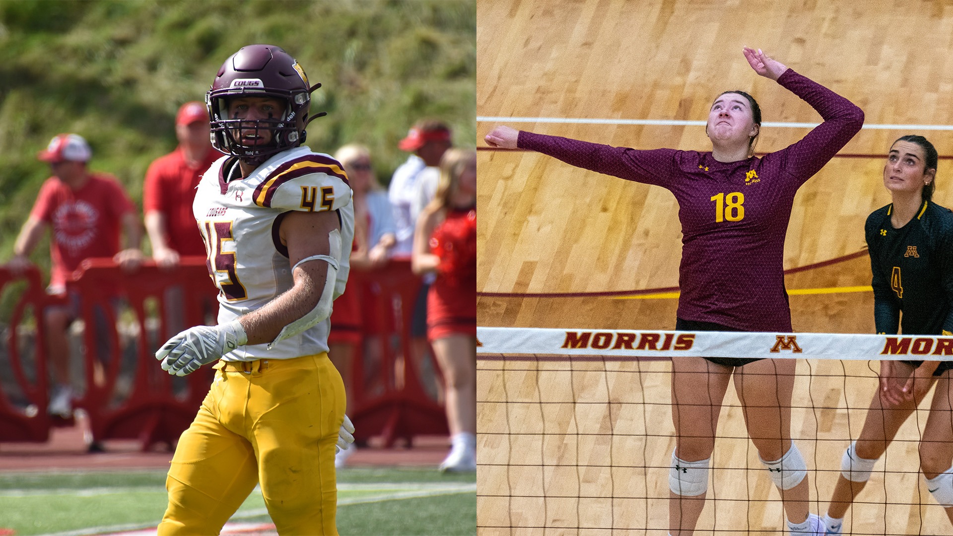 Greg Ohman Anna Molstad