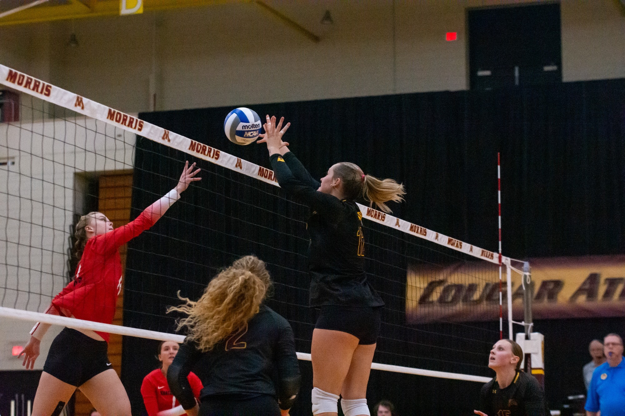Meyer- Action Shot- Volleyball