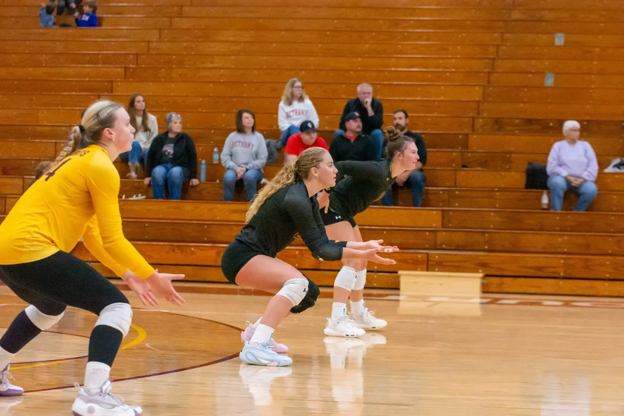 Bopp Johnson Wahl - Action Shot - Volleyball vs Bethany Lutheran