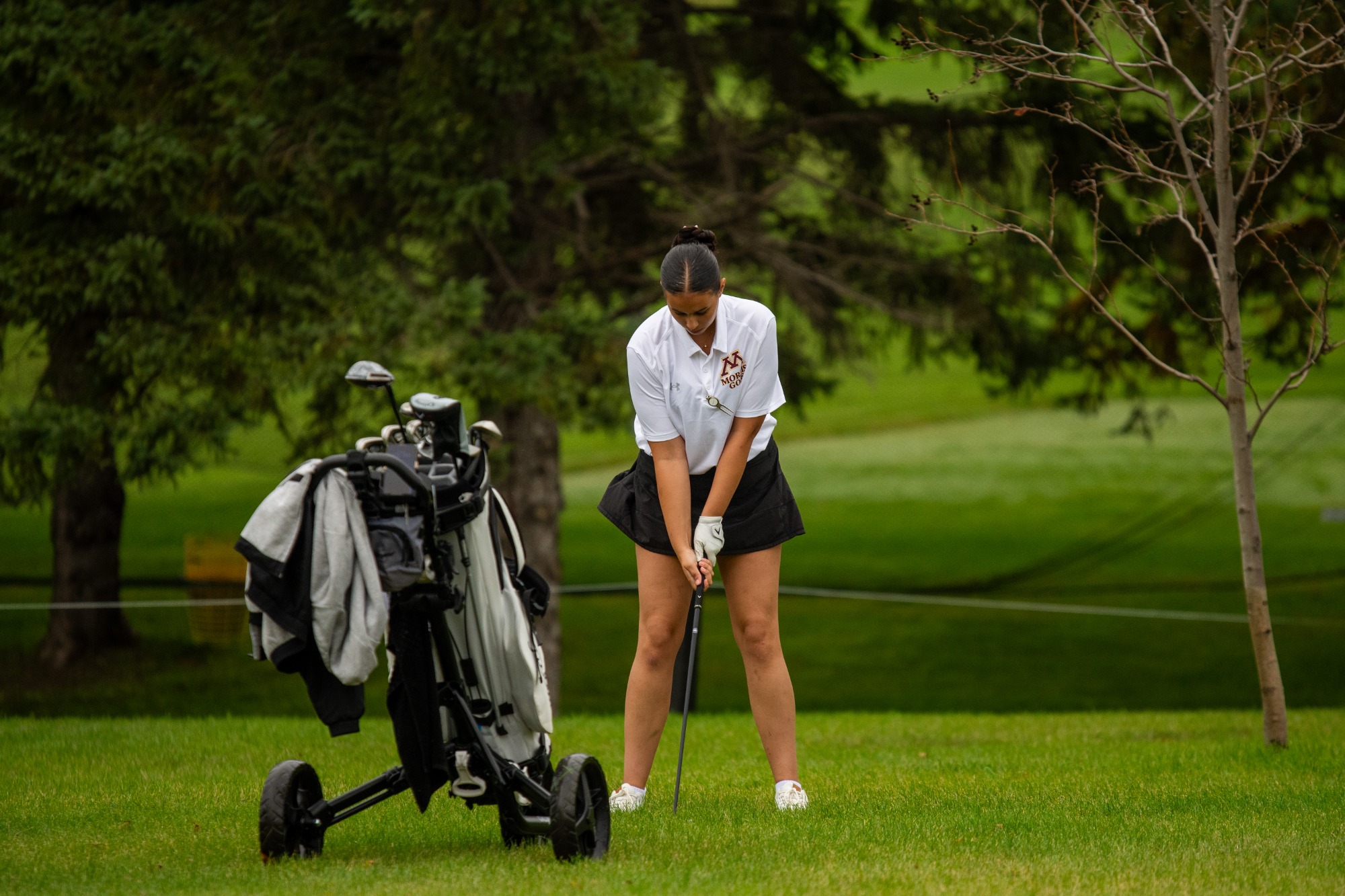 Appert - Action Shot - Golf at Elbow Lake, MN