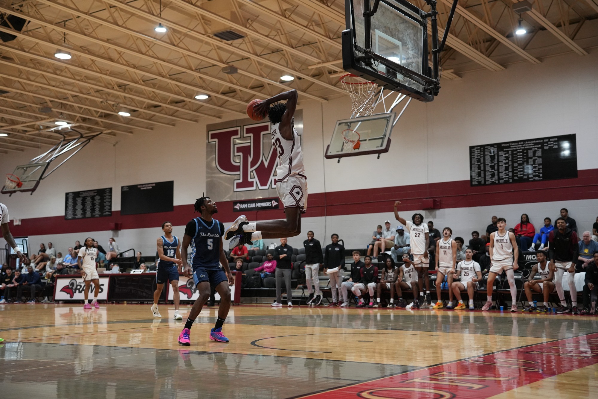 MBB 25-26 Zion Hunter