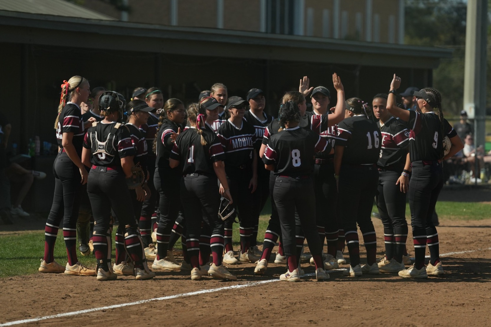 Softball 2026 Team Photo Huddle