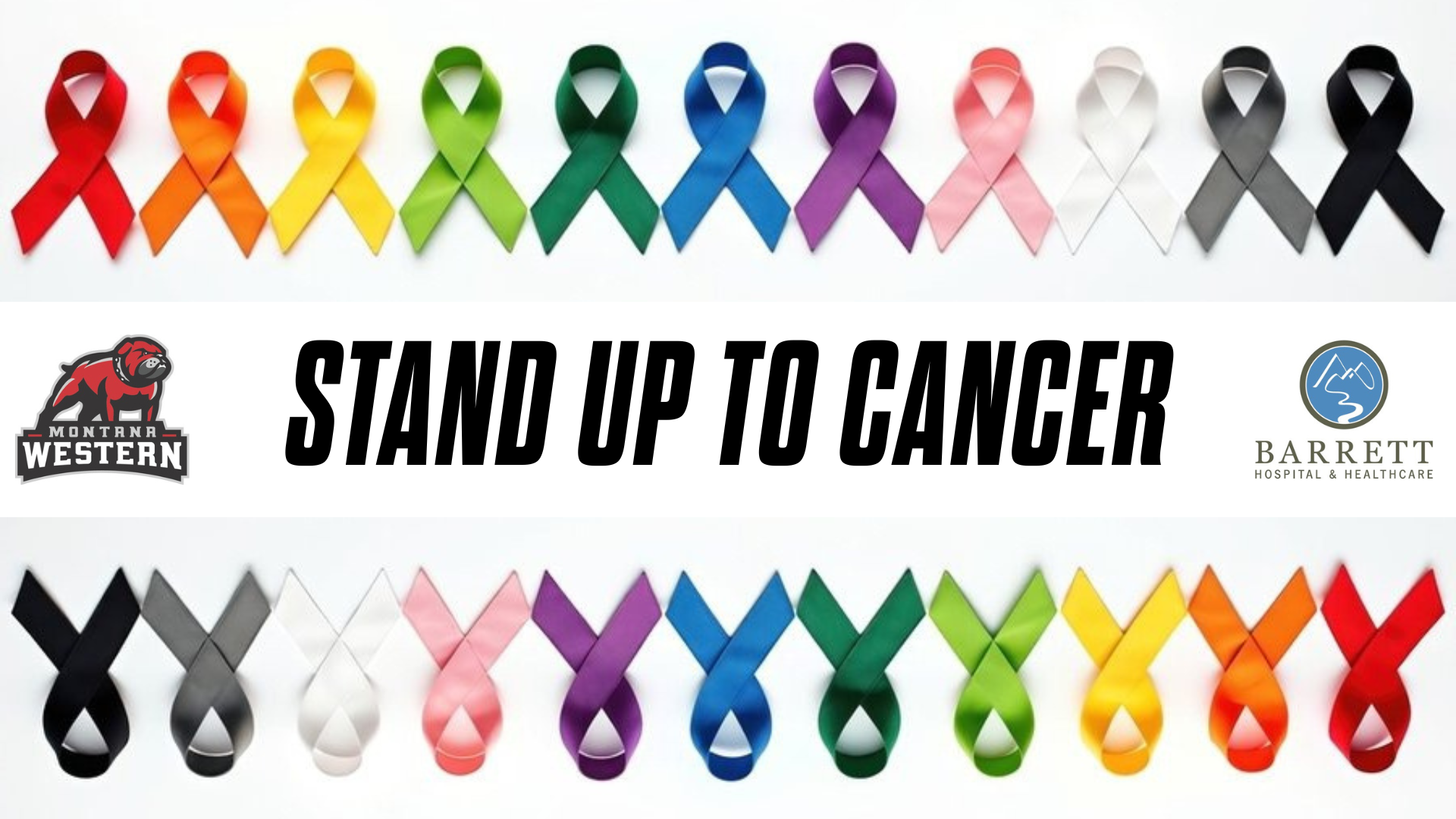 Stand Up to Cancer