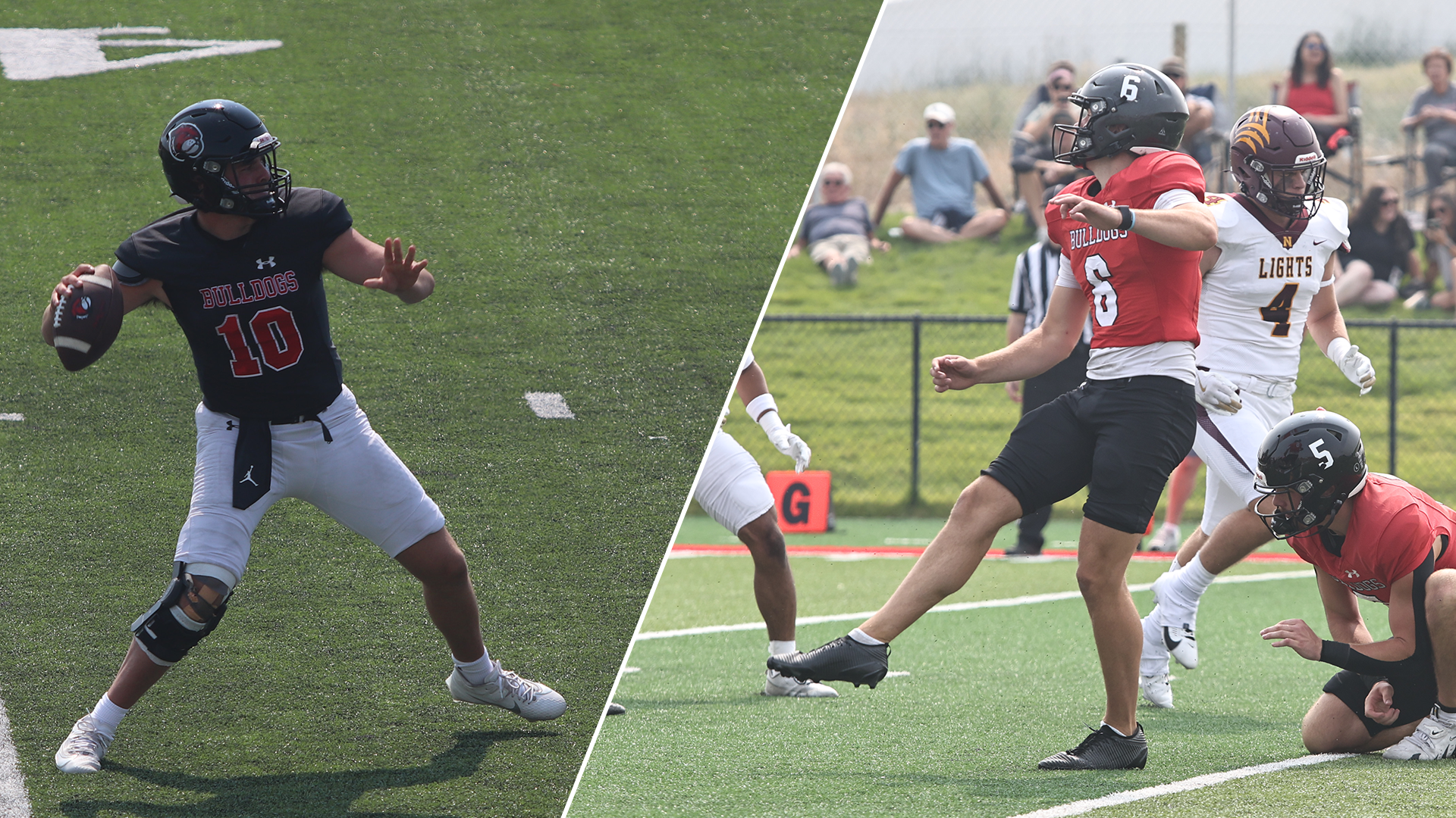 Palandri and Burckley 2