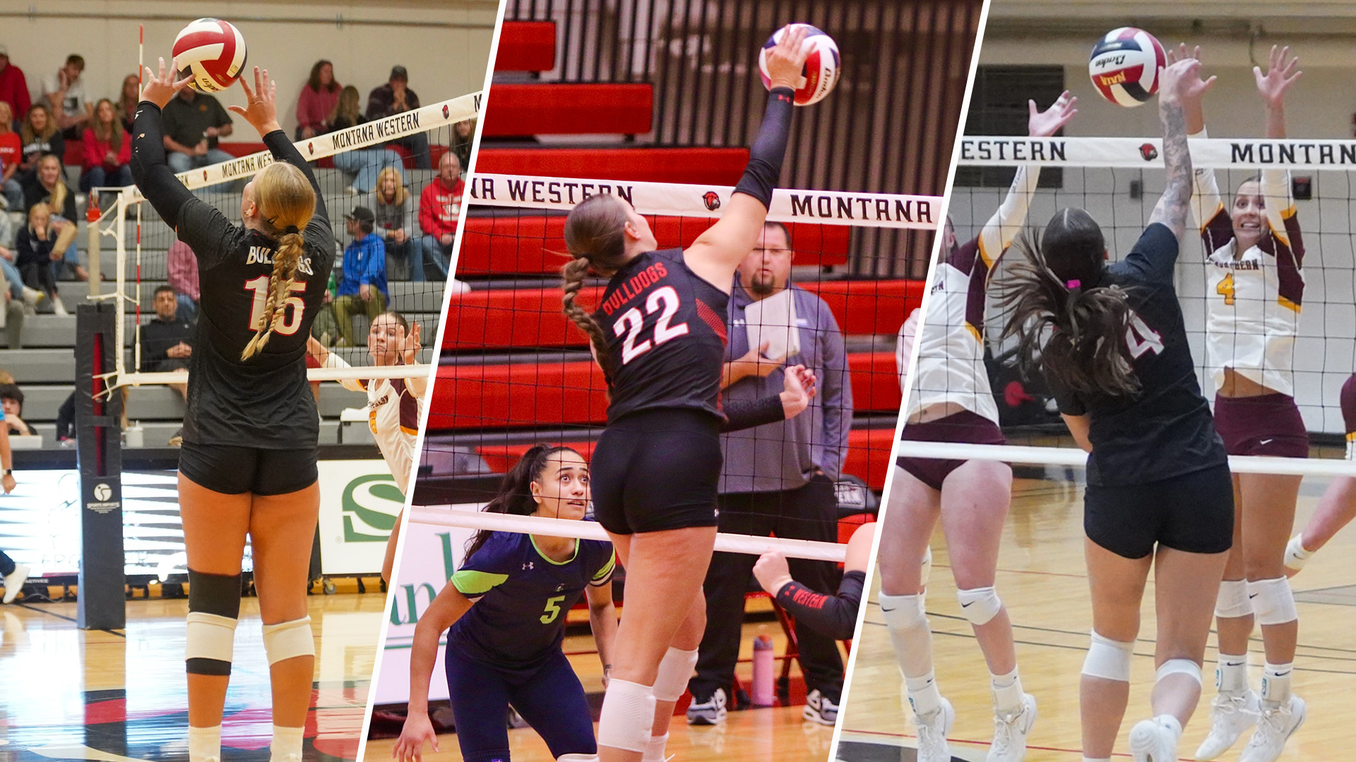 Hardman, Lingenfelter, Pospisil