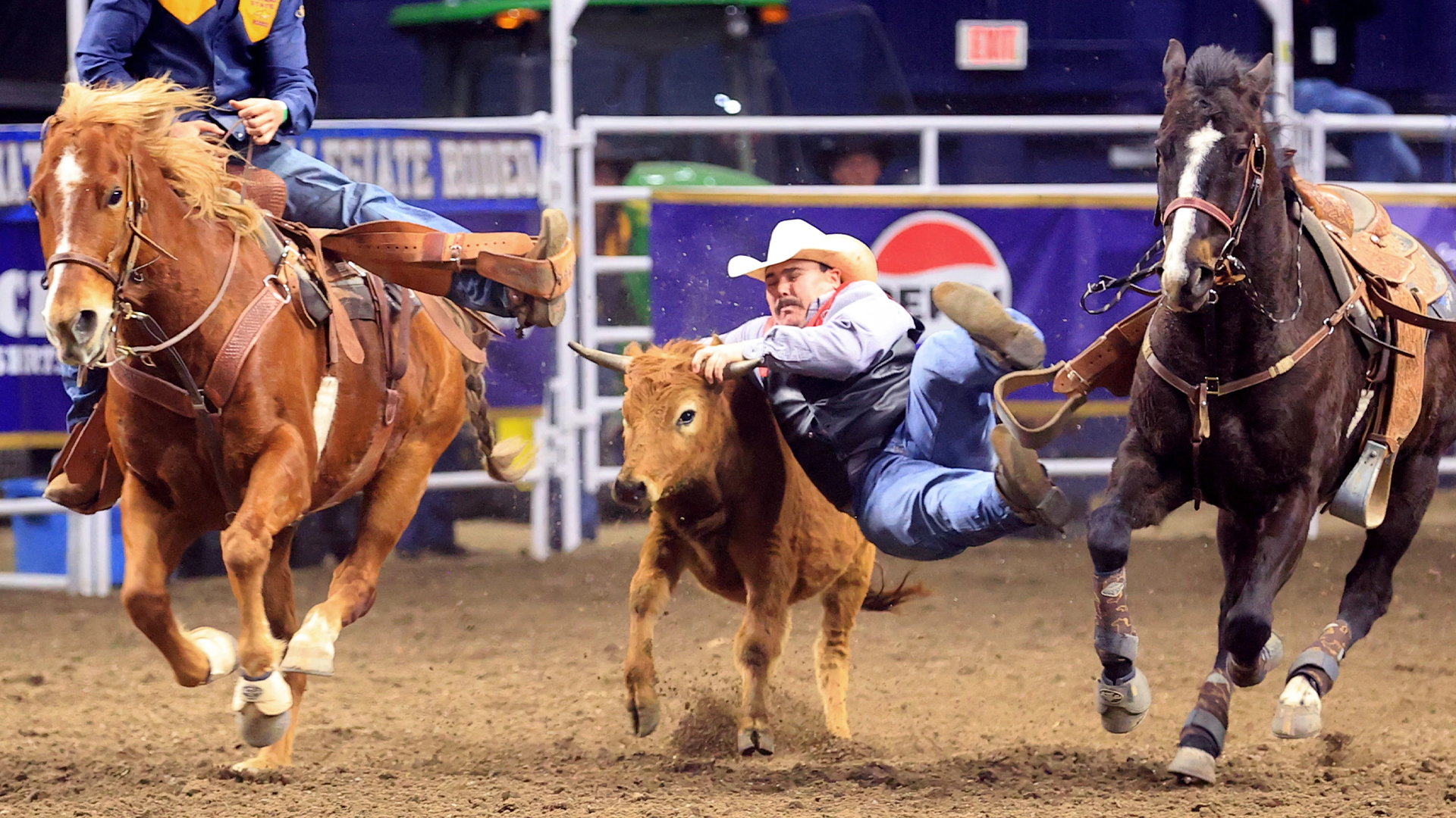 Pavkov steer wrestling MSU 1