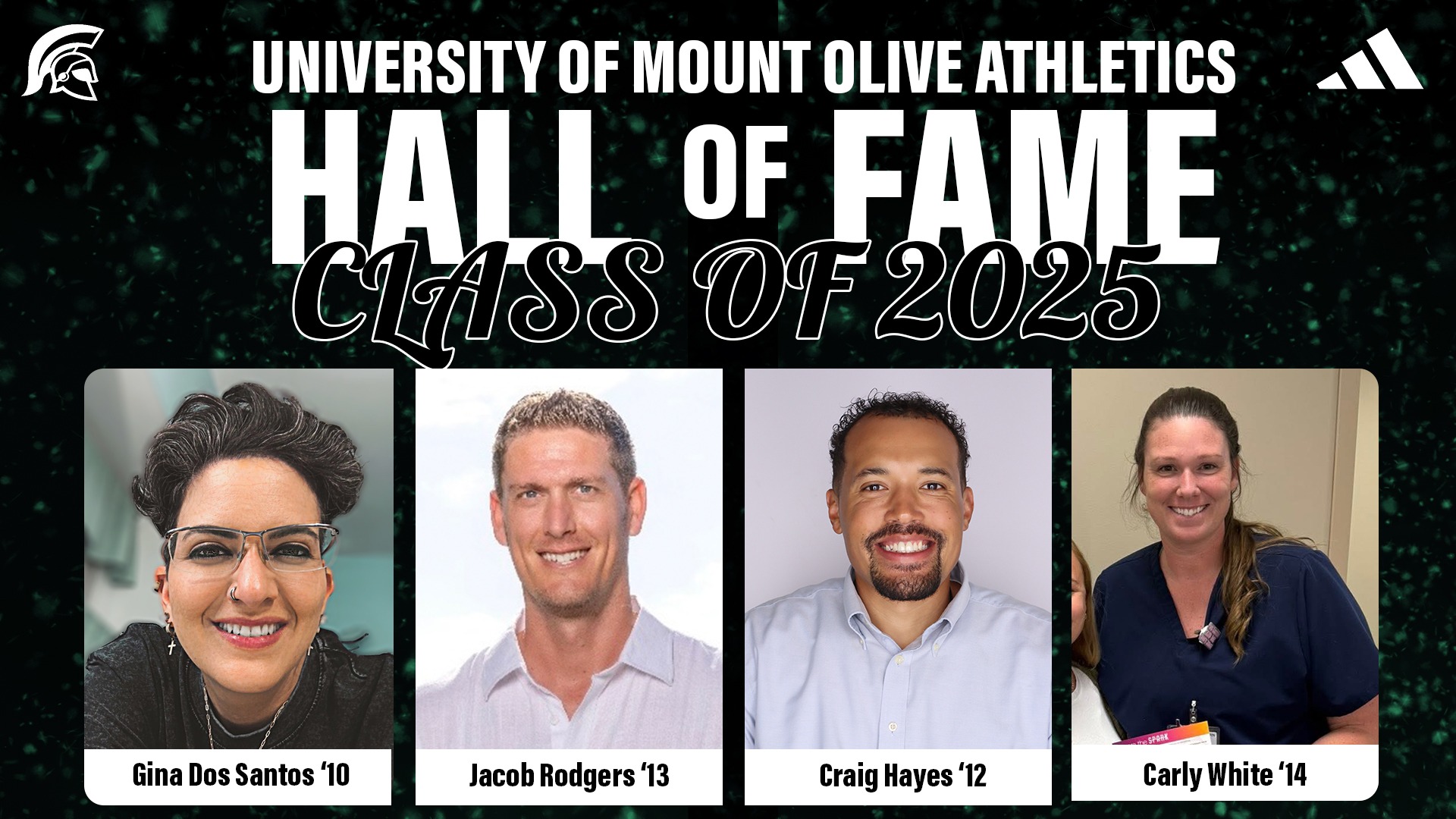 hall of fame story graphic