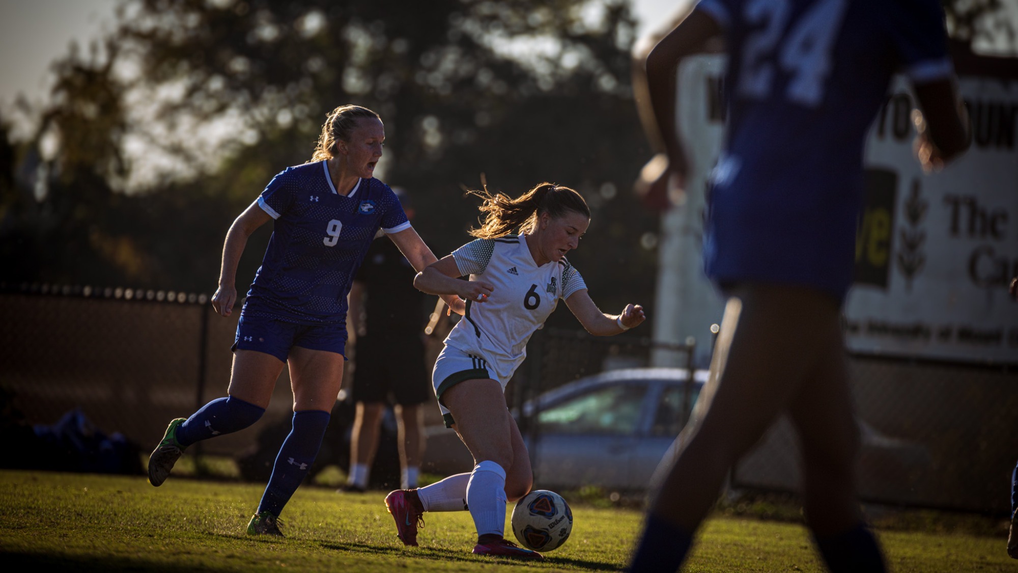 WSOC STORY 11.05