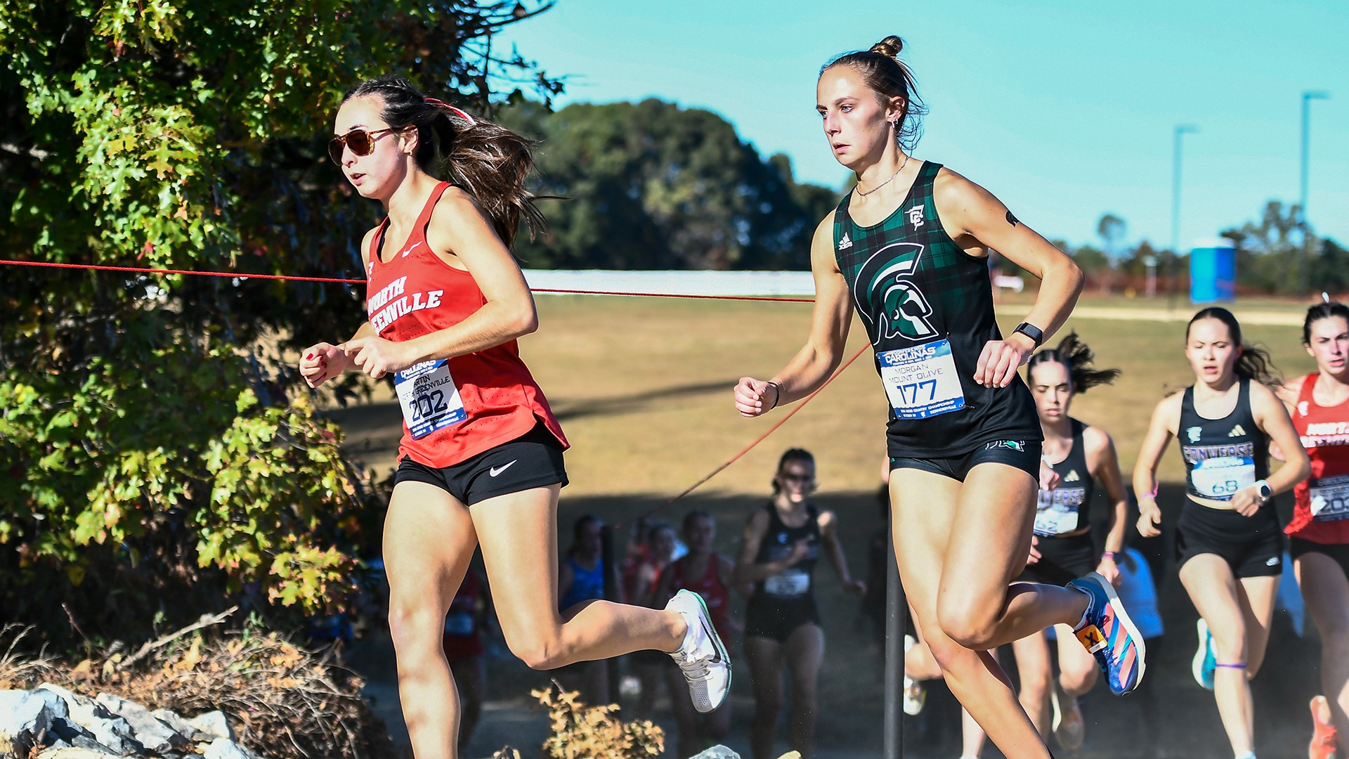 wxc