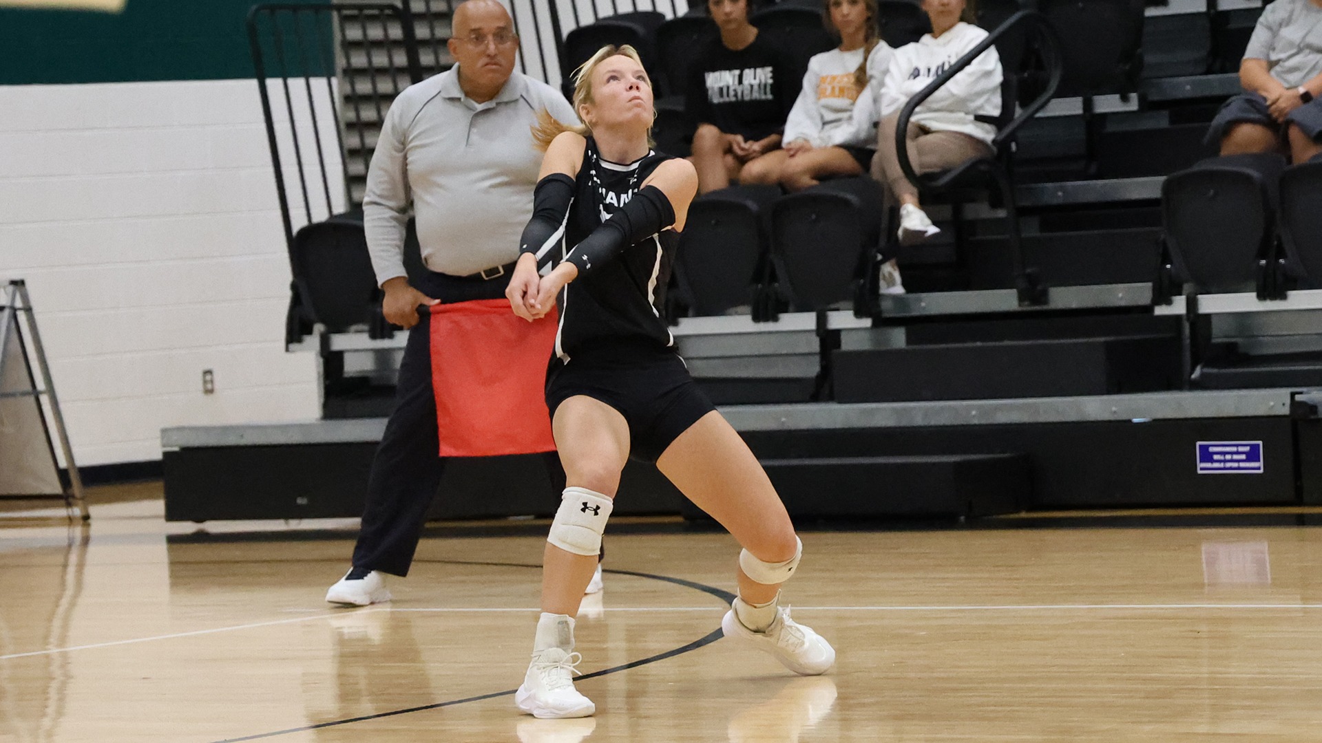 wvb marleigh