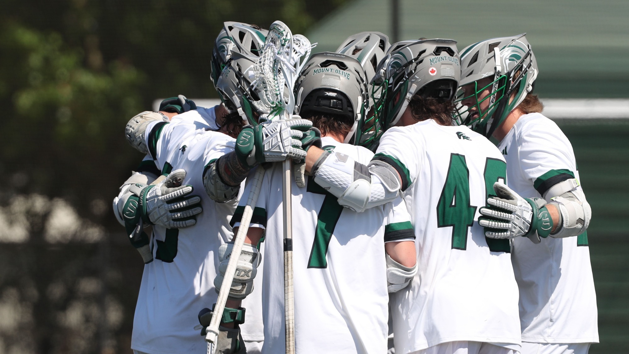 mlaxbacstory4.17