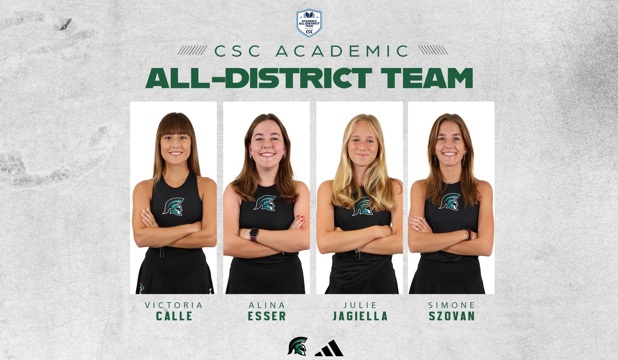 wten csc graphic
