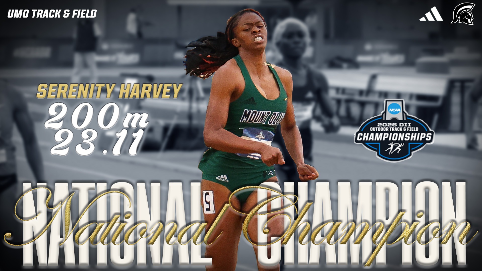 harvey national champion graphic