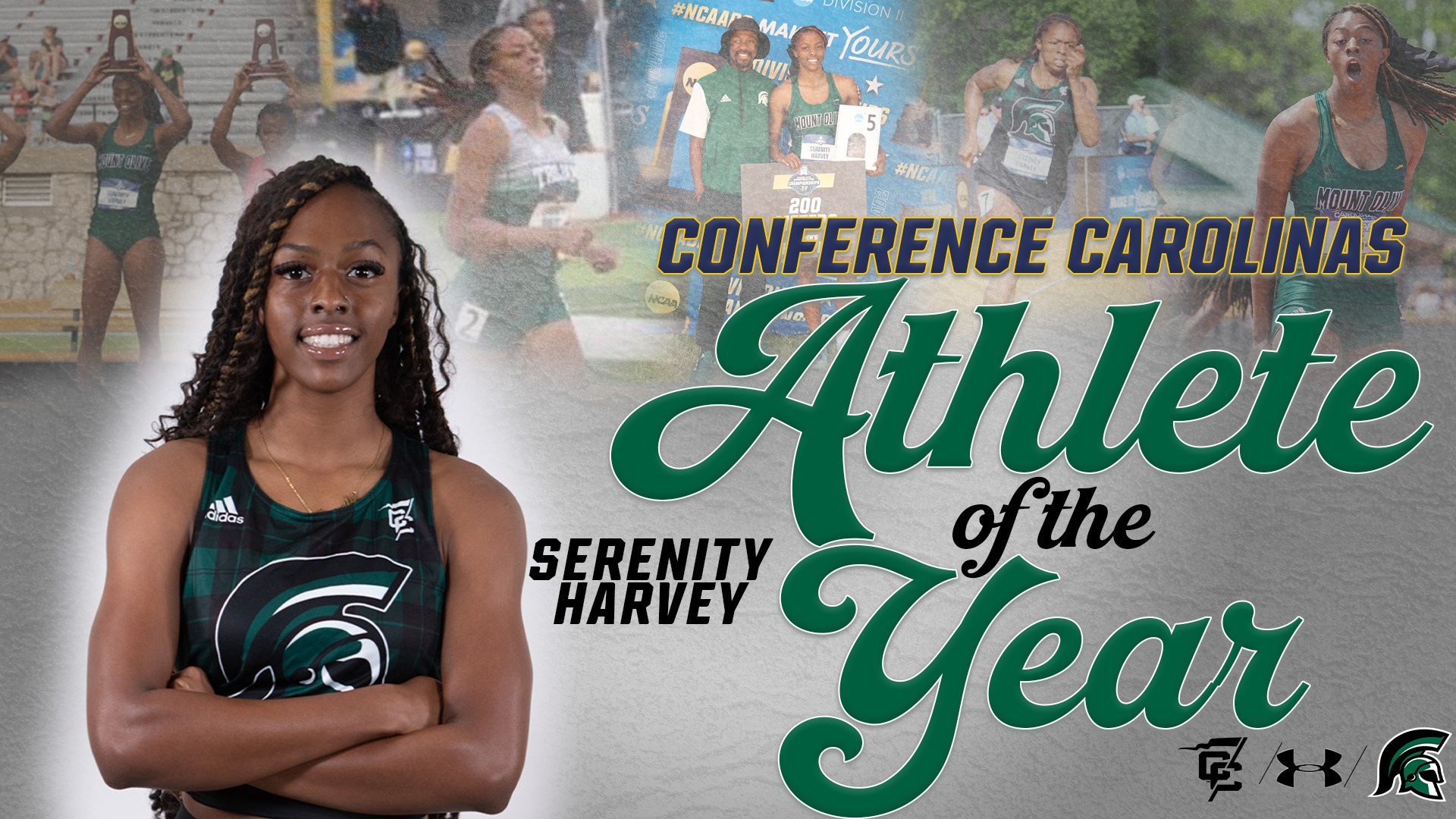 serenity harvey aoy graphic cc