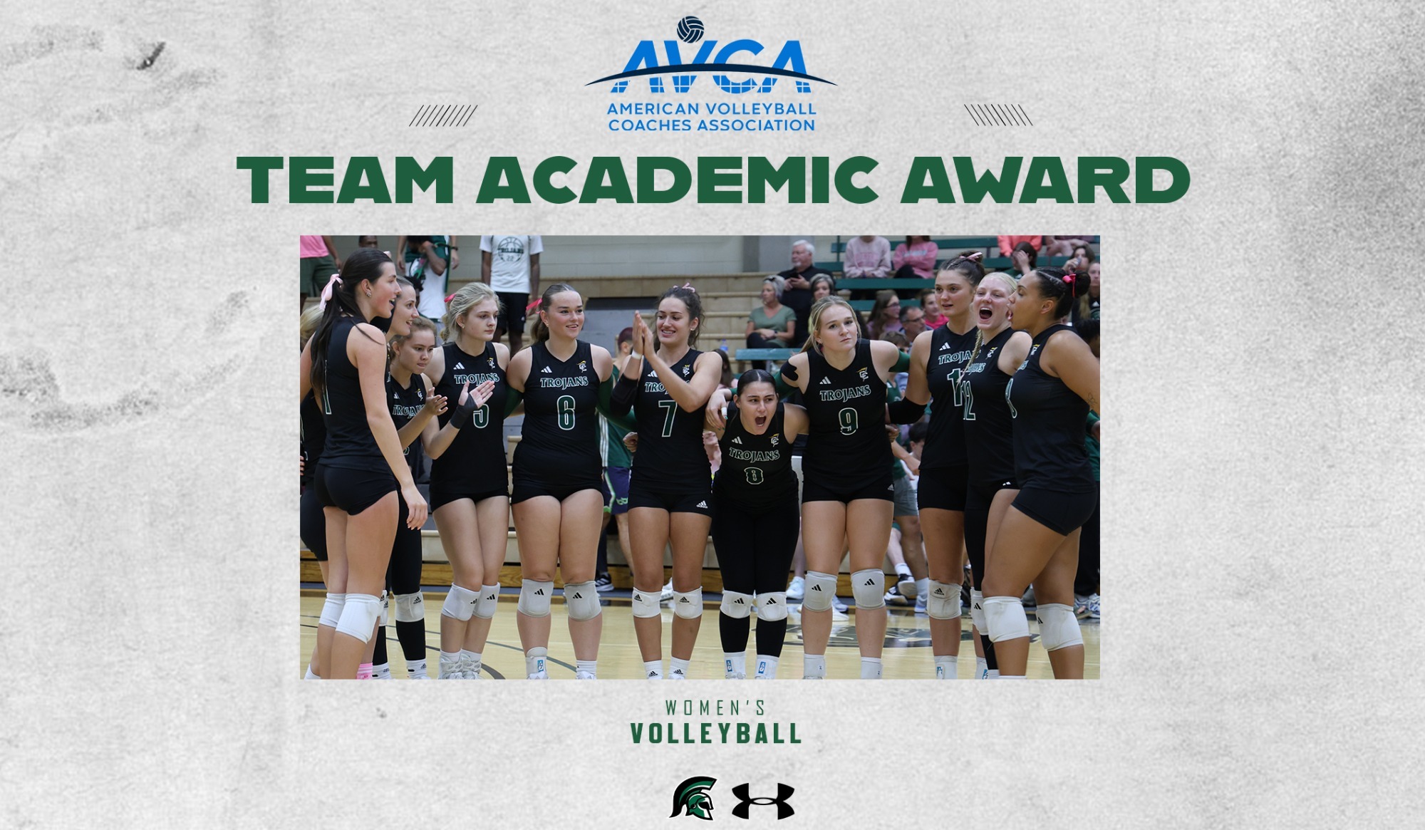 avca academic team graphic