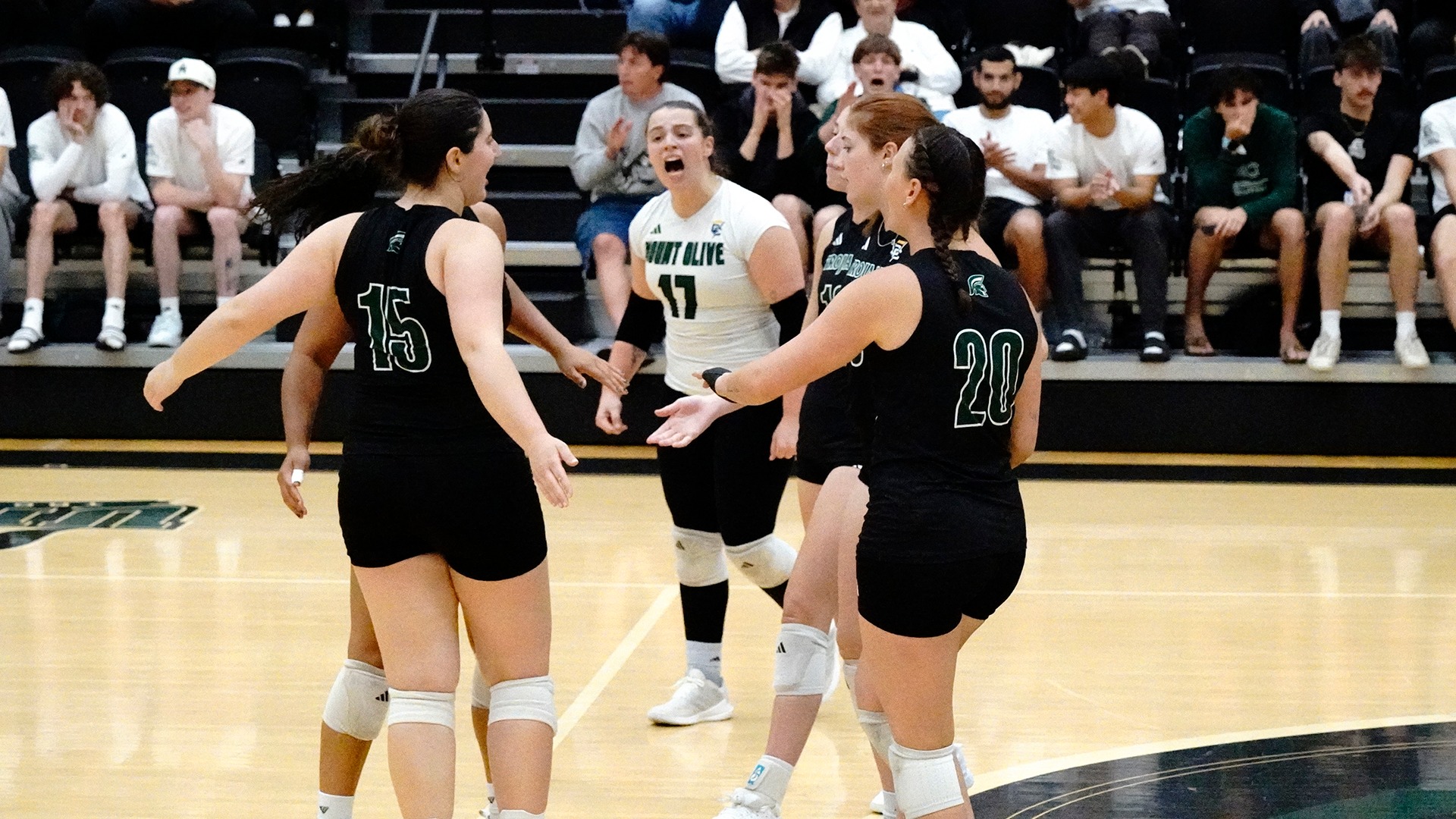 wvb team