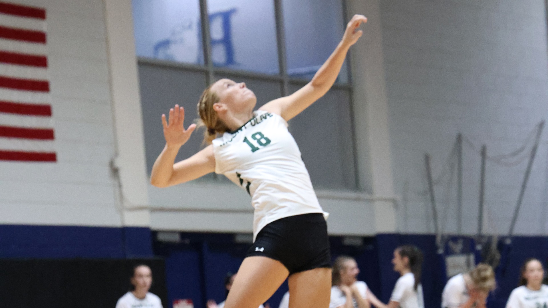 wvb barton
