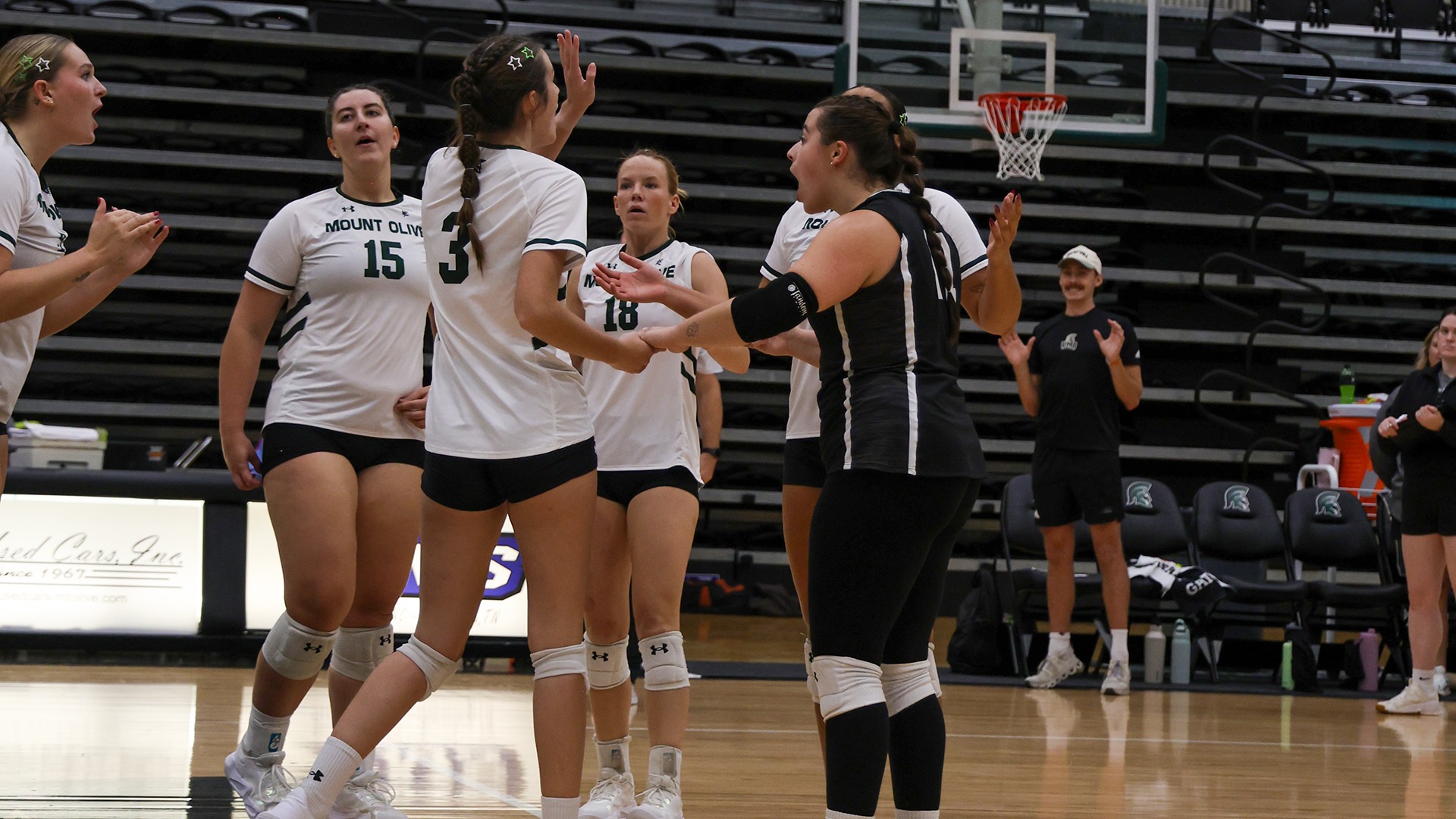 wvb team celebration