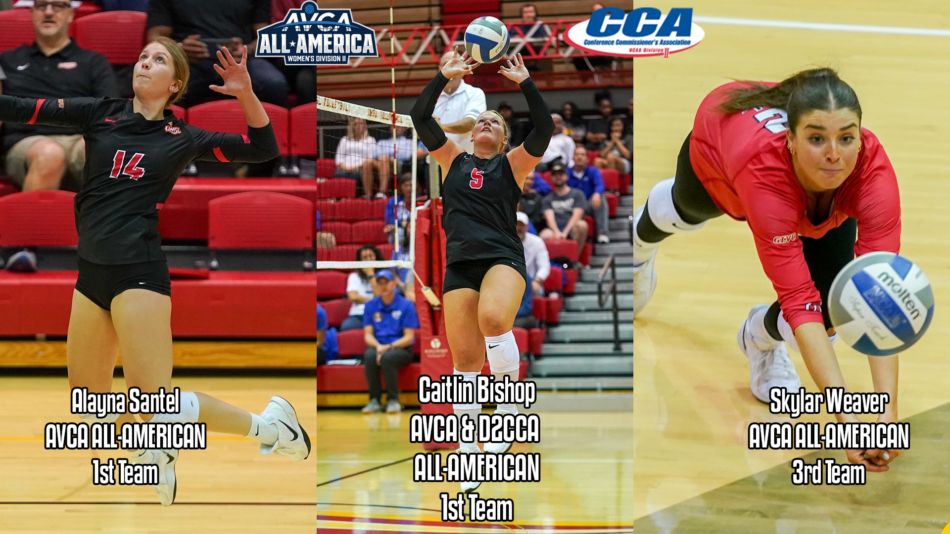 UMSL Volleyball's Alayna Santel, Caitlon Bishop and Skylar Weaver were named to the American Volleyball Coaches All-America team on Wednesday (Dec. 10). In addition, Bishop was also named to the Division II Conference Commissioners Association All-America squad.