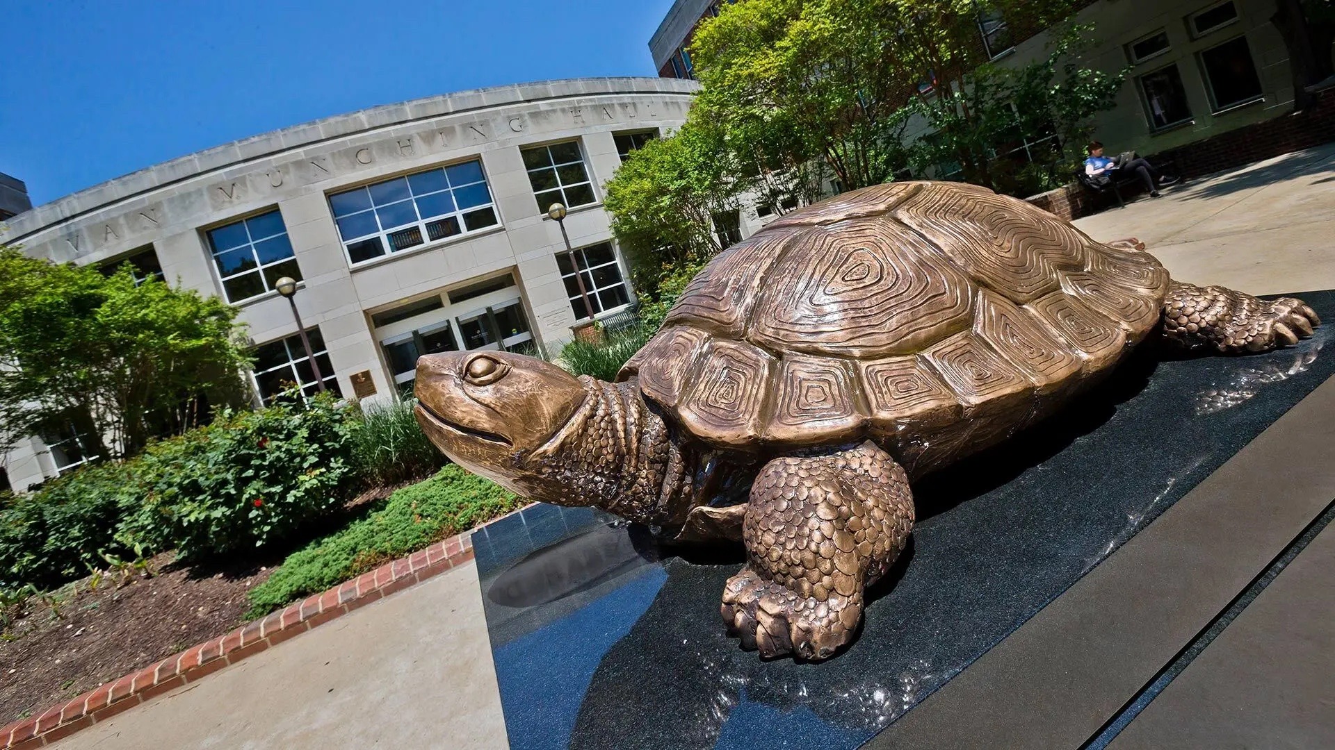 Testudo Statue