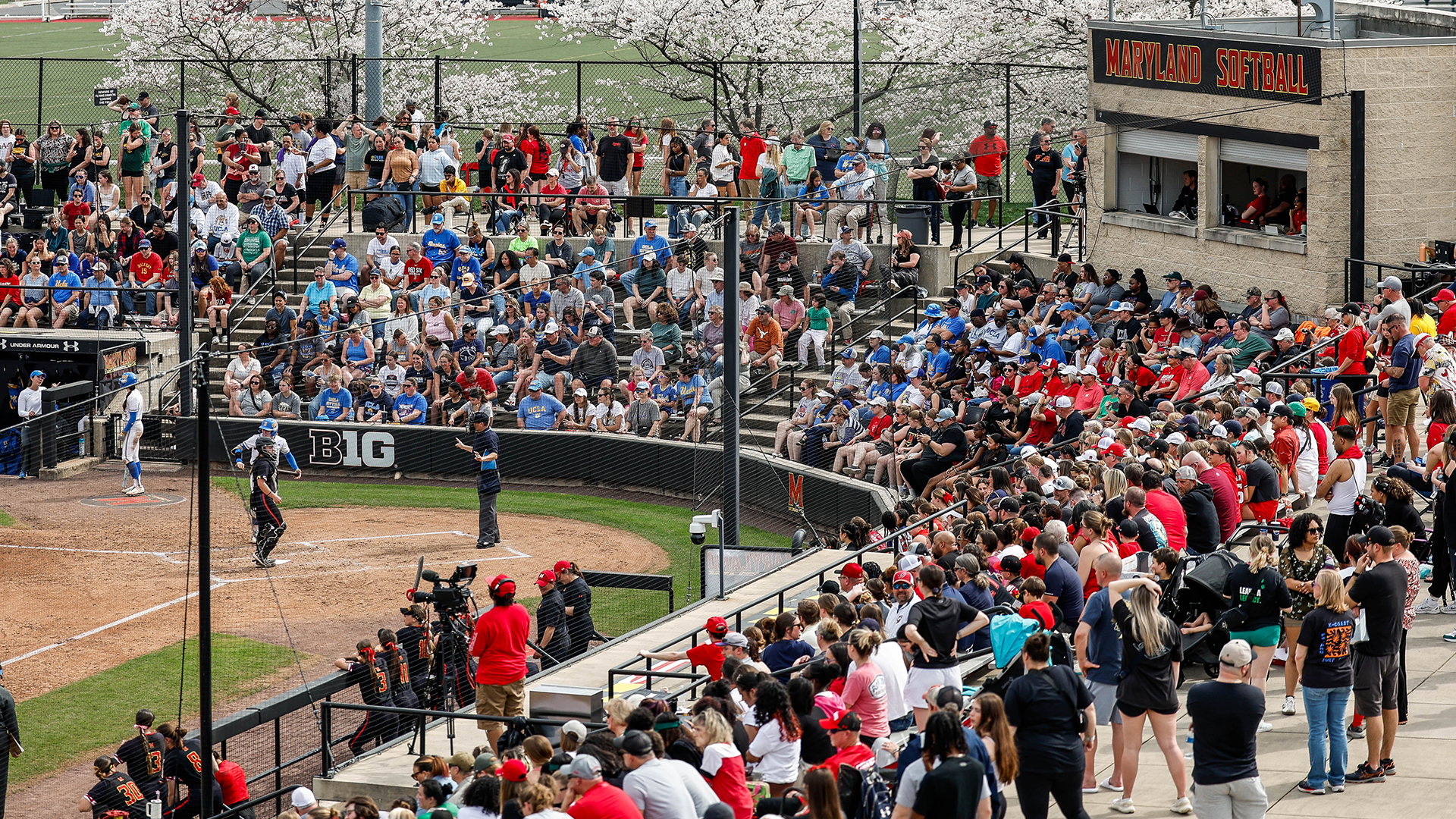 Softball B1G Schedule 