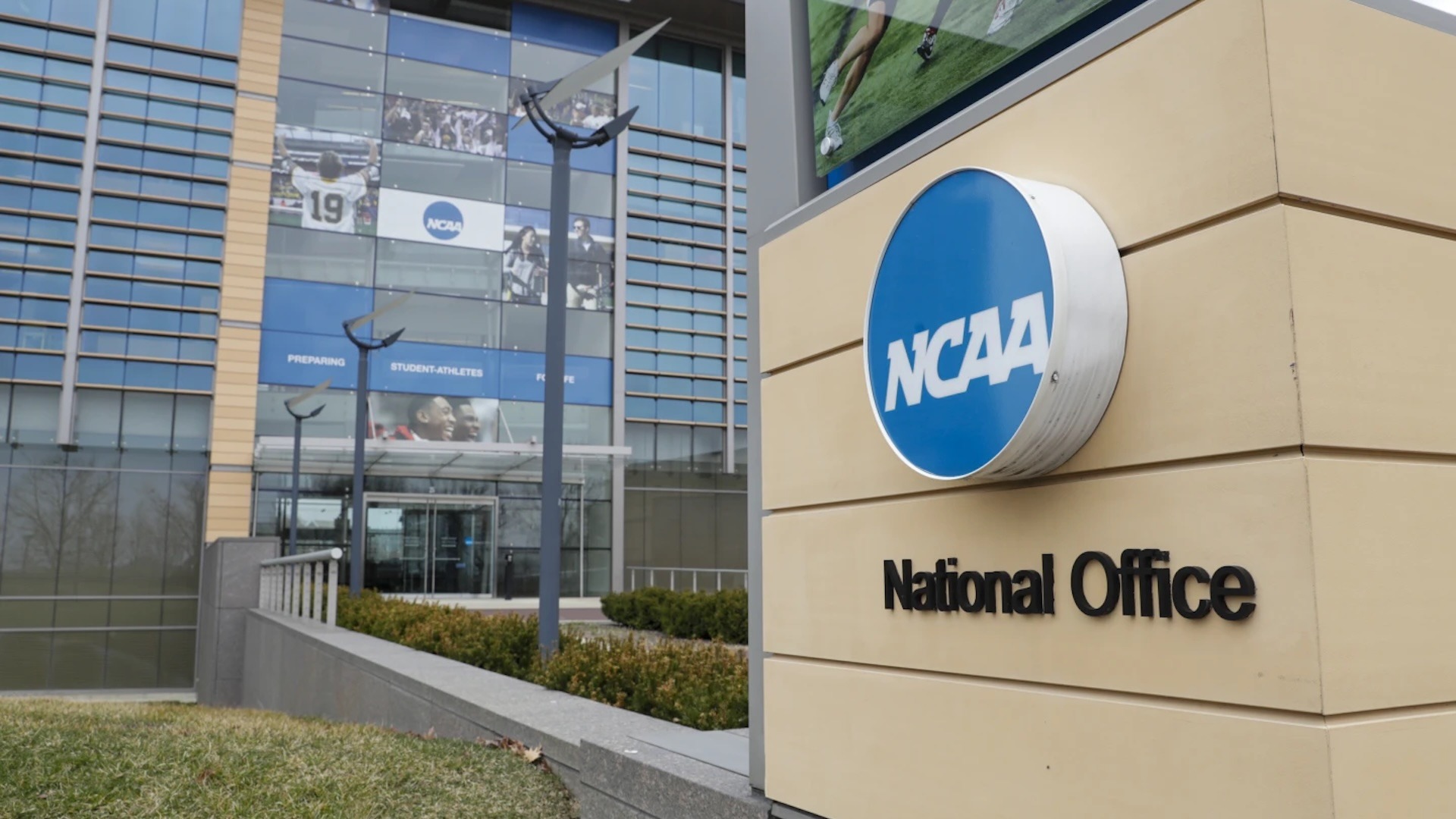NCAA Office
