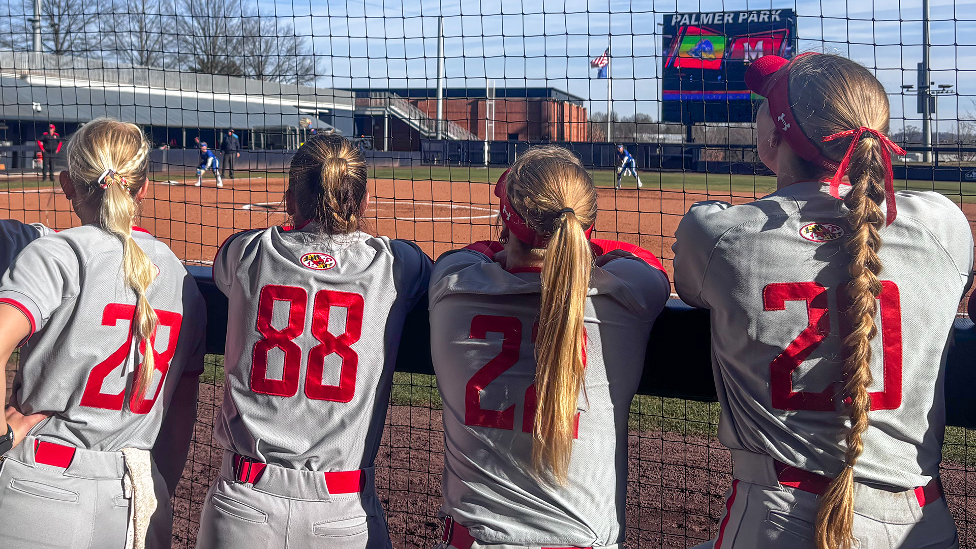 Maryland Watches From the Dugout