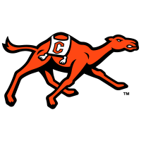 Opponent Logo