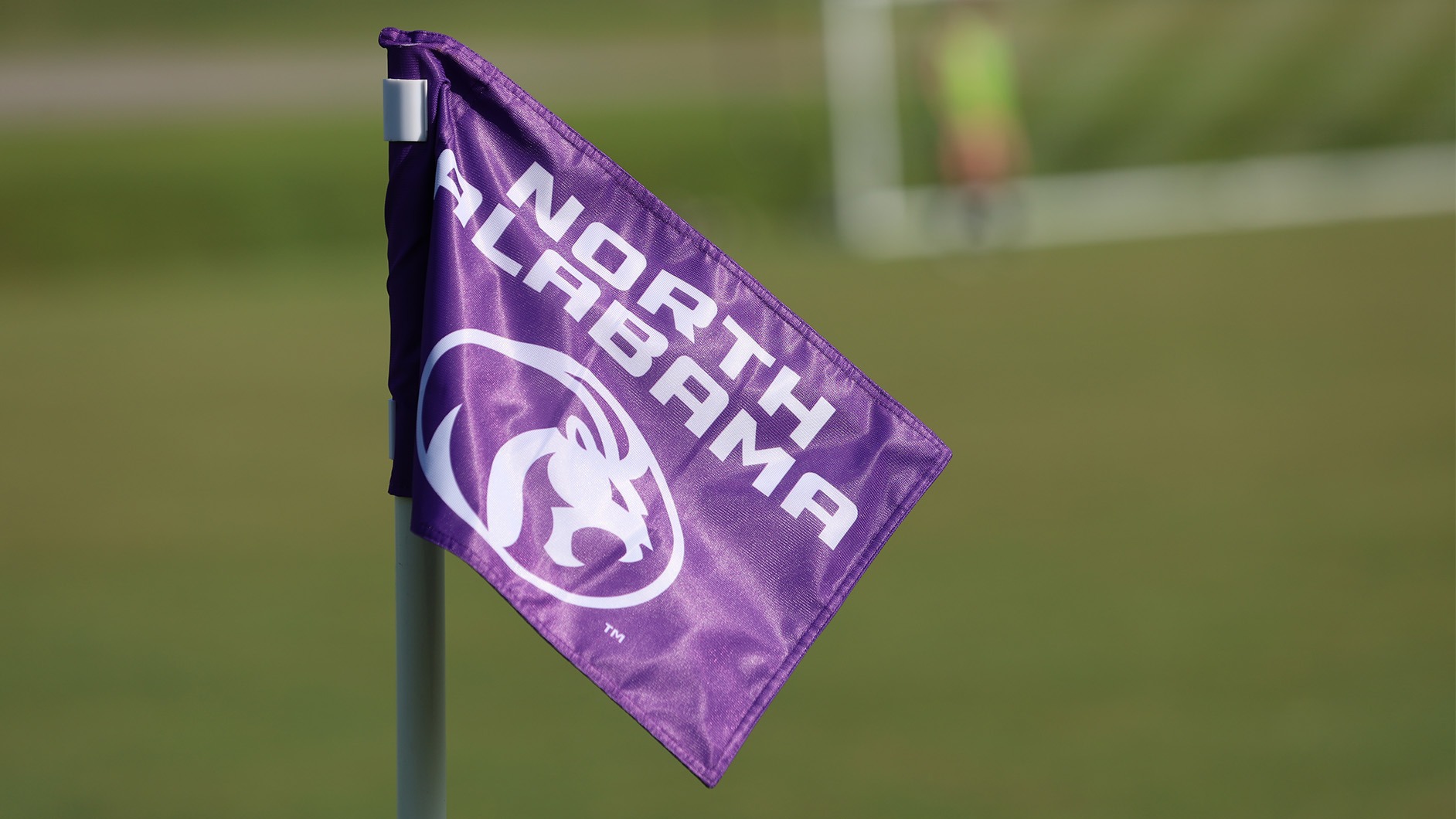 Soccer Flag Stock