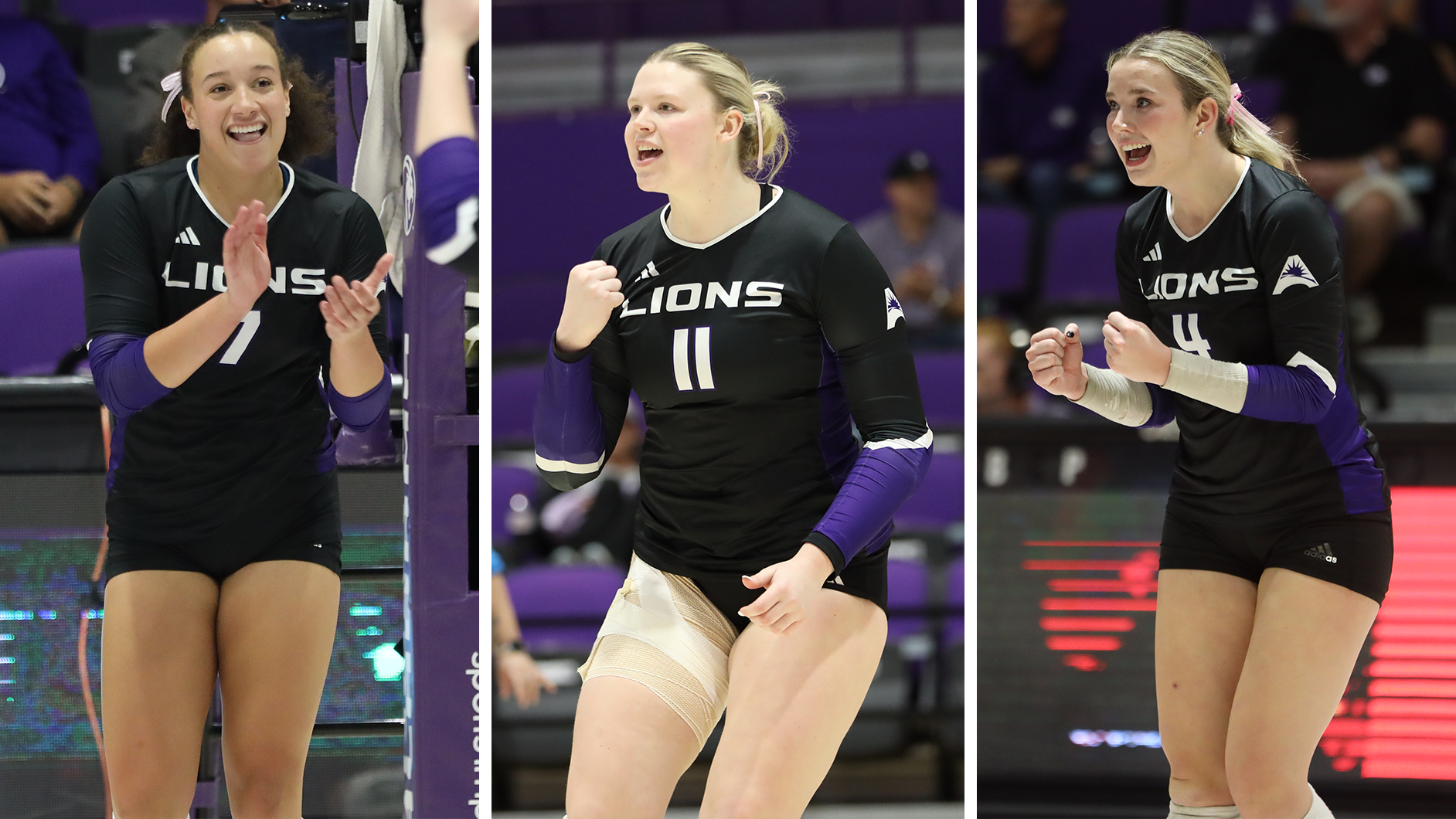 2025 ASUN Volleyball Postseason honors