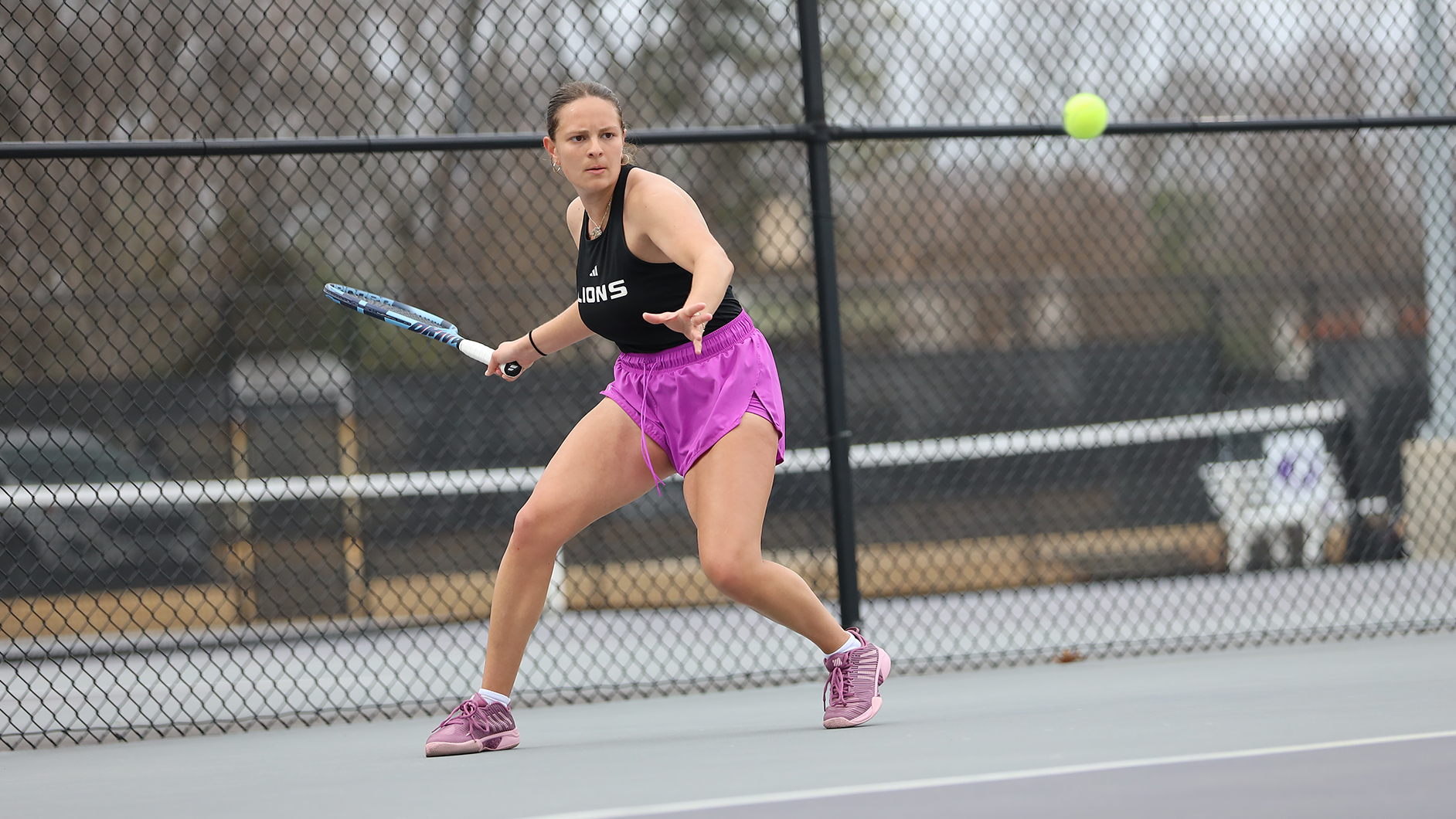 Senem Ocal Spring 2025