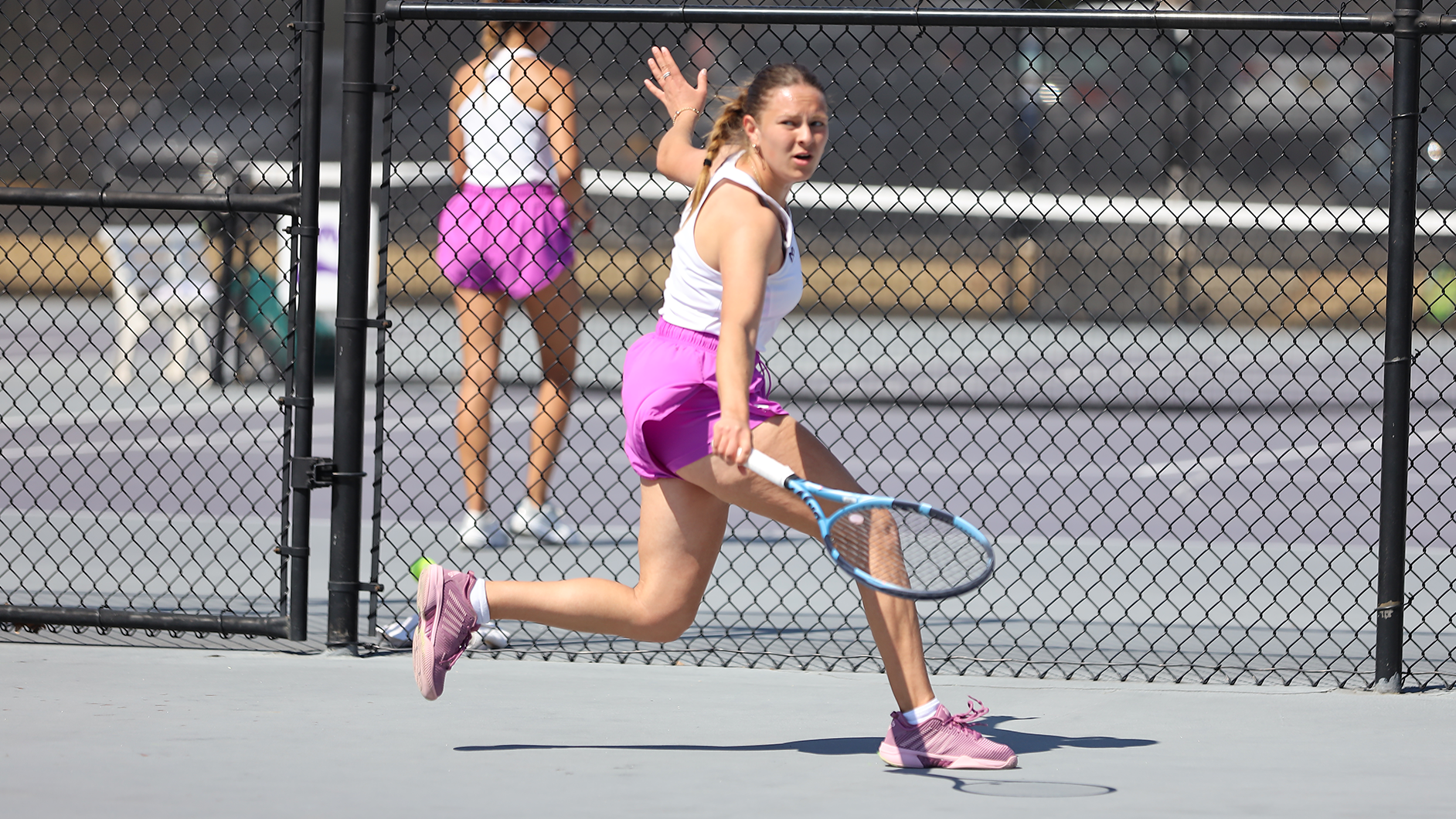 Senem Ocal Spring 2025