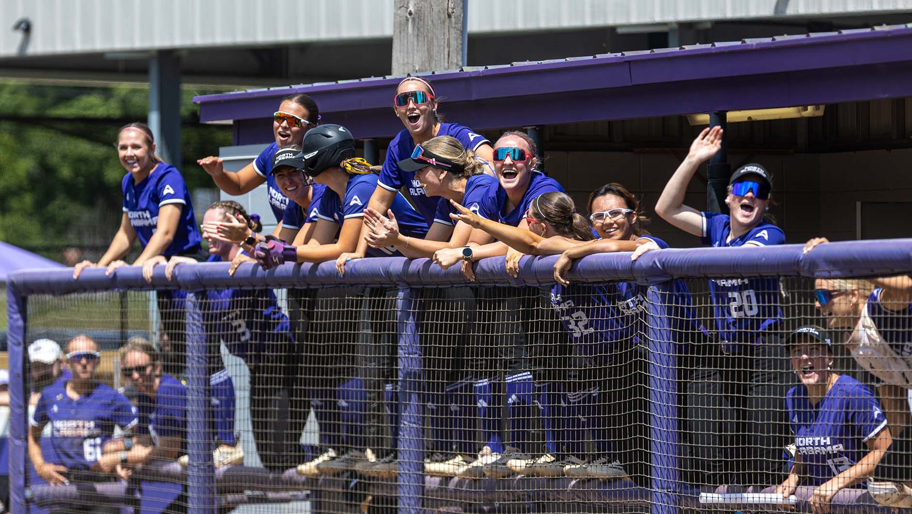 Softball Celly