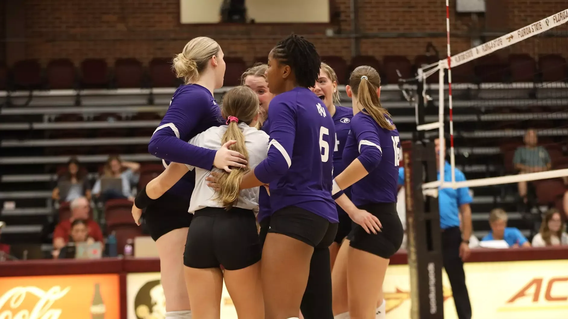 vb team