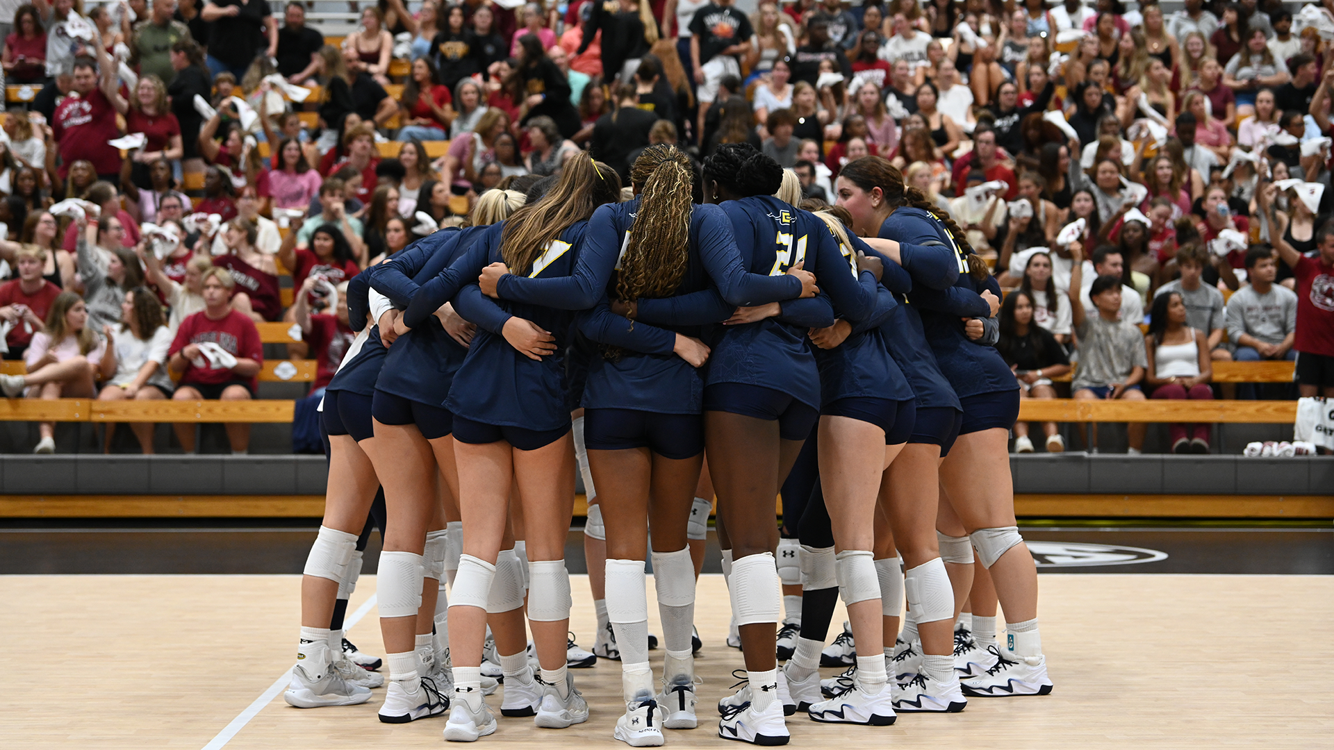 VB Team