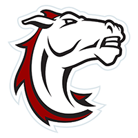 Opponent Logo