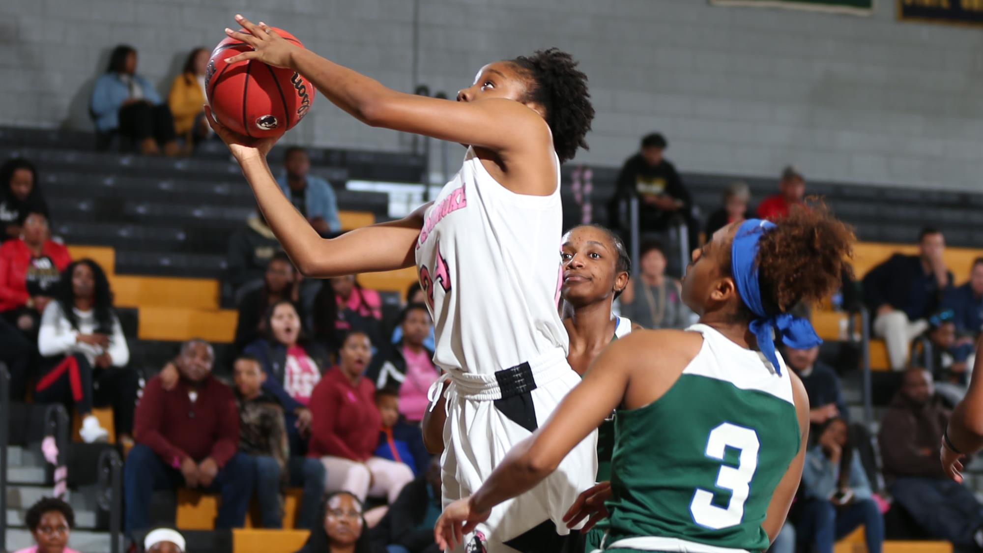 Danielle Heath Women's Basketball UNCP Athletics