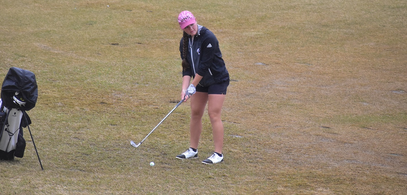 Catherine DeSiena 102825