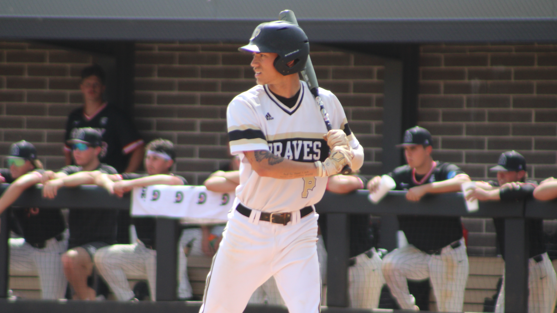 Hayden Davis - Baseball - UNCP Athletics