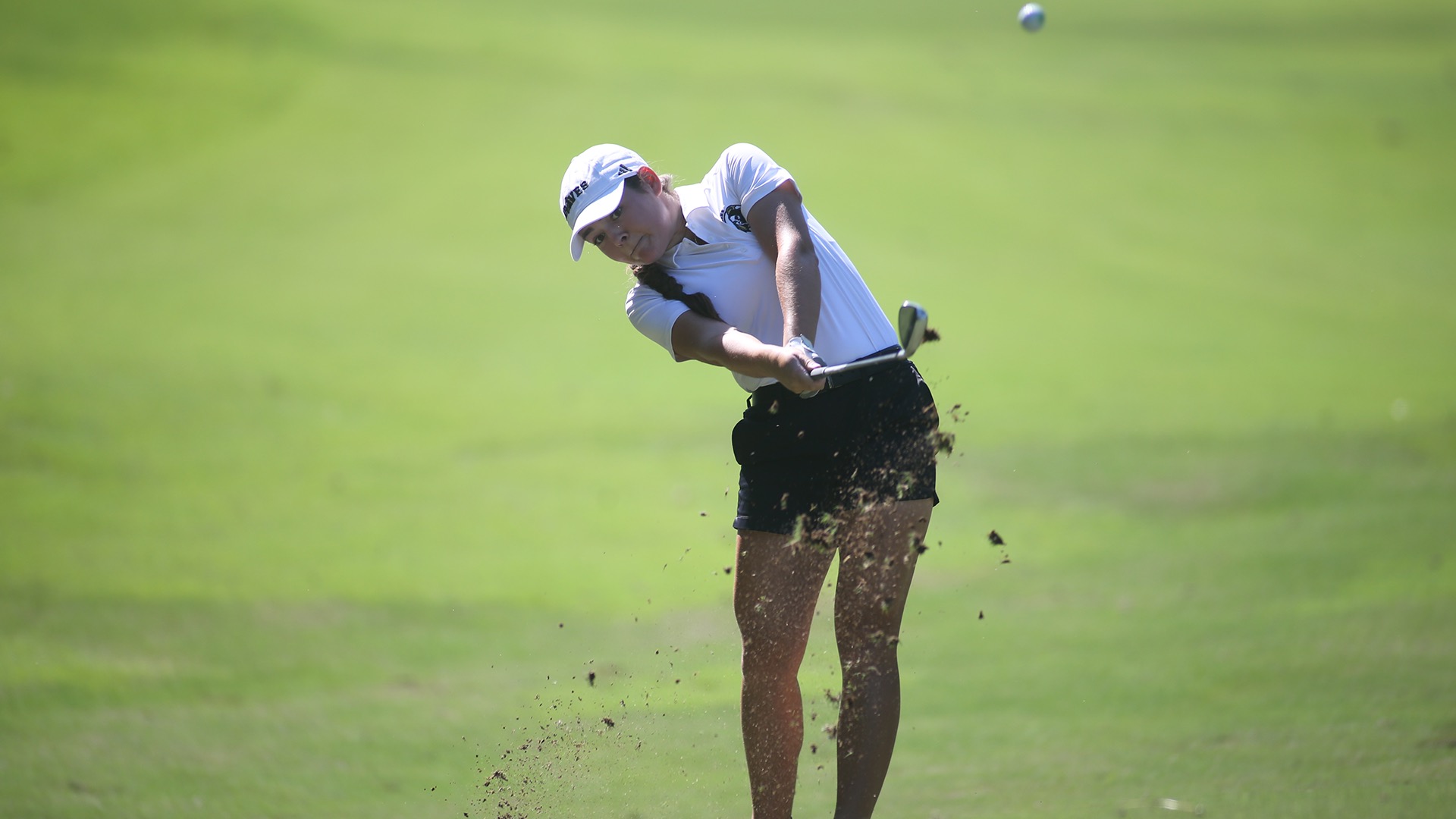 Catherine DeSiena 092325