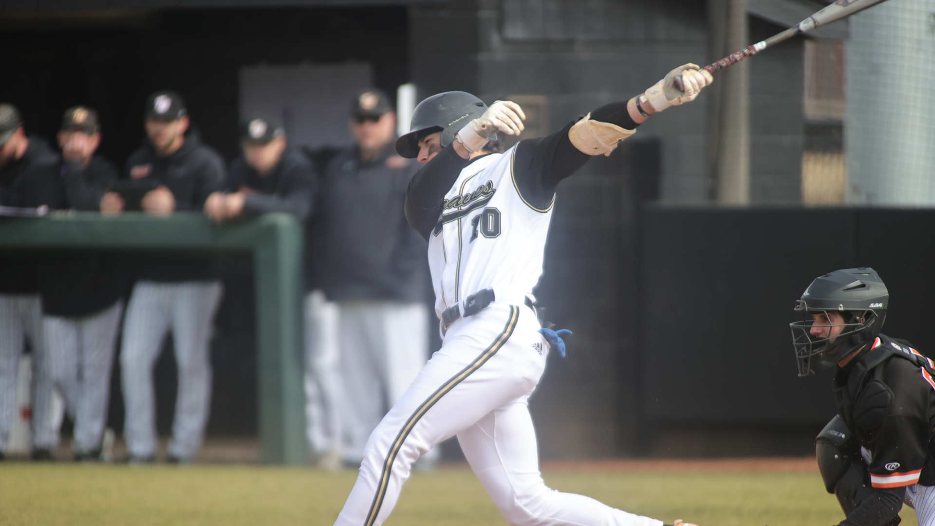 Daniel Stephens 013026