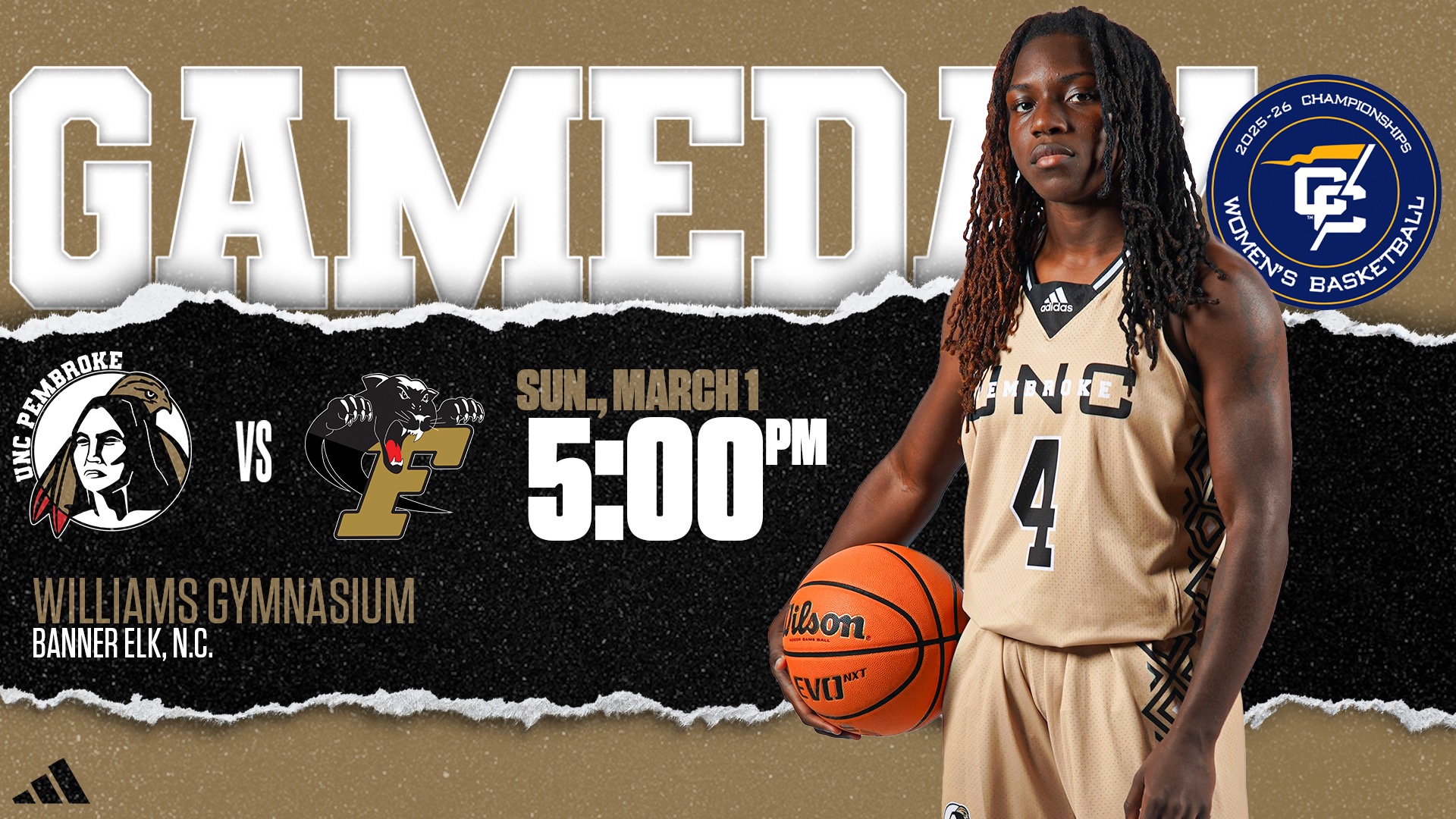 Women's Basketball vs. Ferrum - Conference Tournament