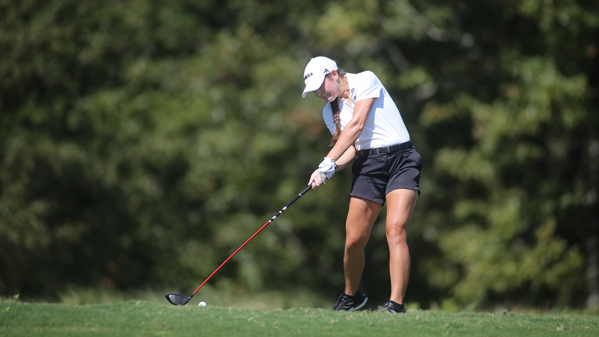 Catherine DeSiena 031026